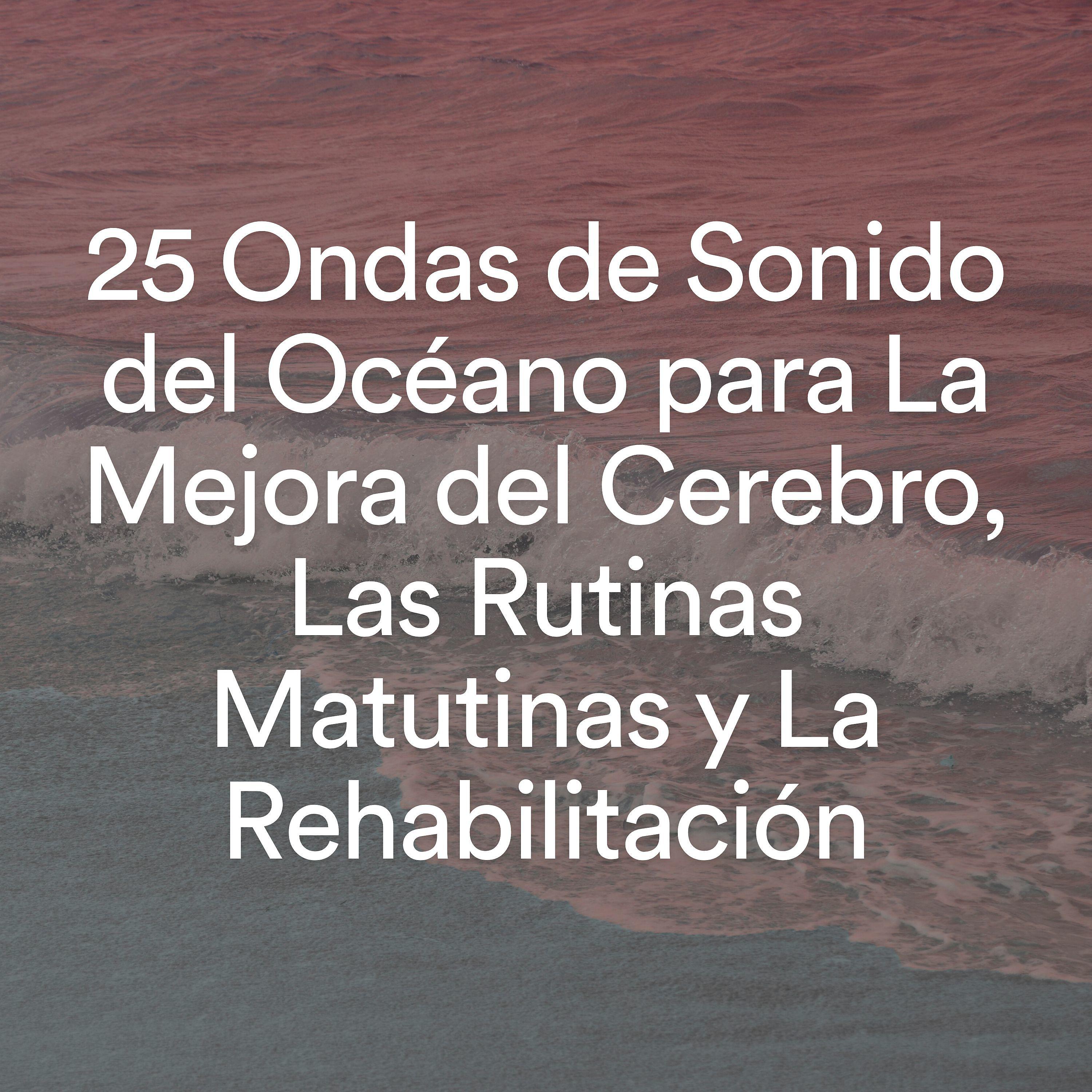 Постер альбома 25 Ondas de Sonido del Océano para La Mejora del Cerebro, Las Rutinas Matutinas y La Rehabilitación
