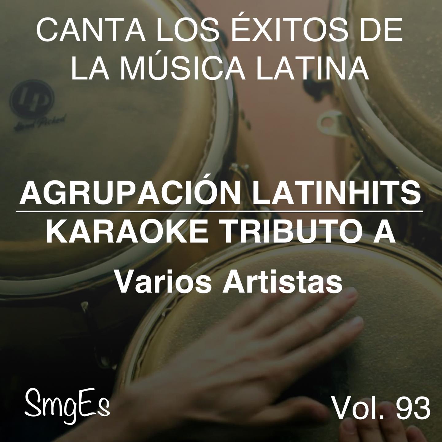 Постер альбома Instrumental Karaoke Series: Varios Artistas, Vol. 93