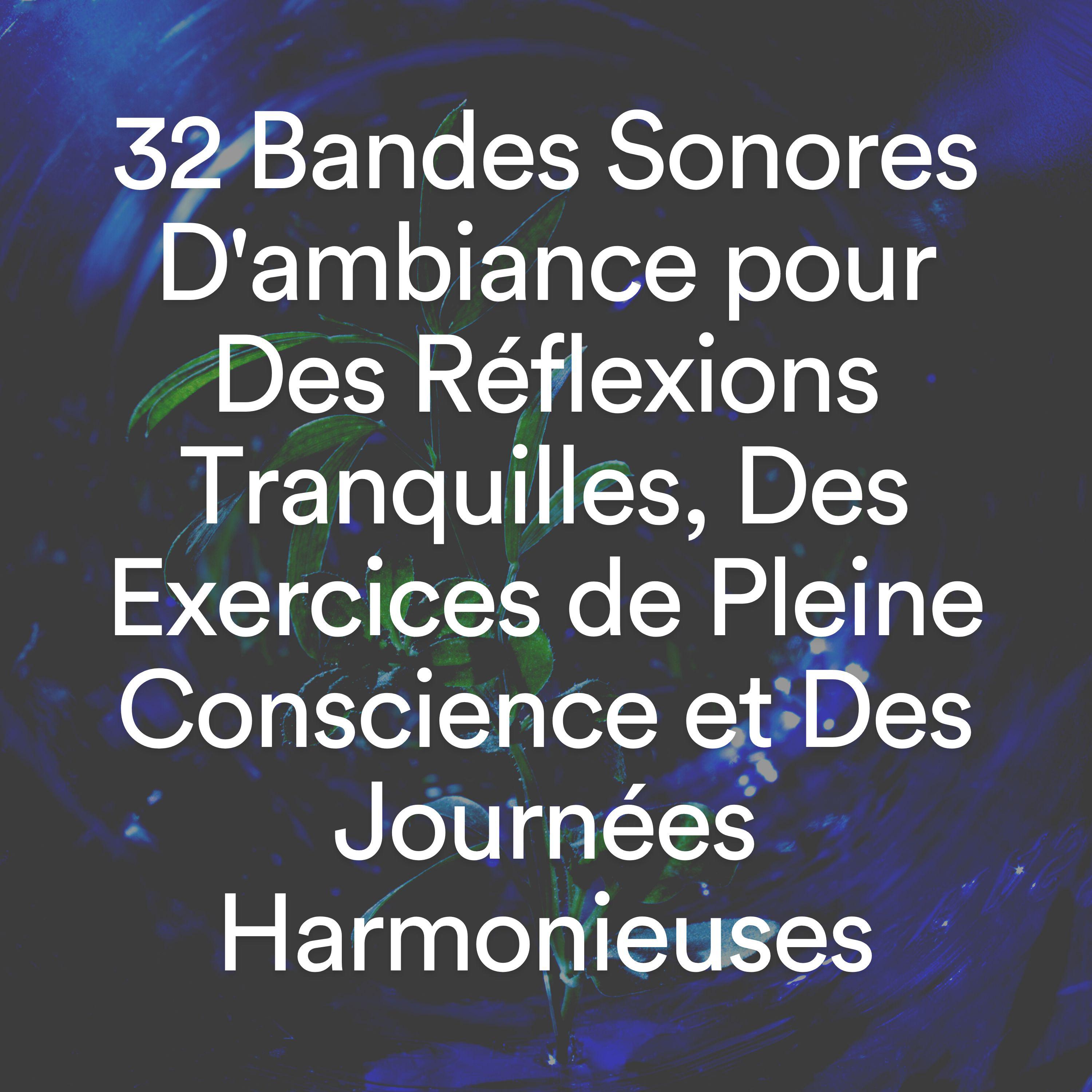 Постер альбома 32 Bandes Sonores D'ambiance pour Des Réflexions Tranquilles, Des Exercices de Pleine Conscience et Des Journées Harmonieuses