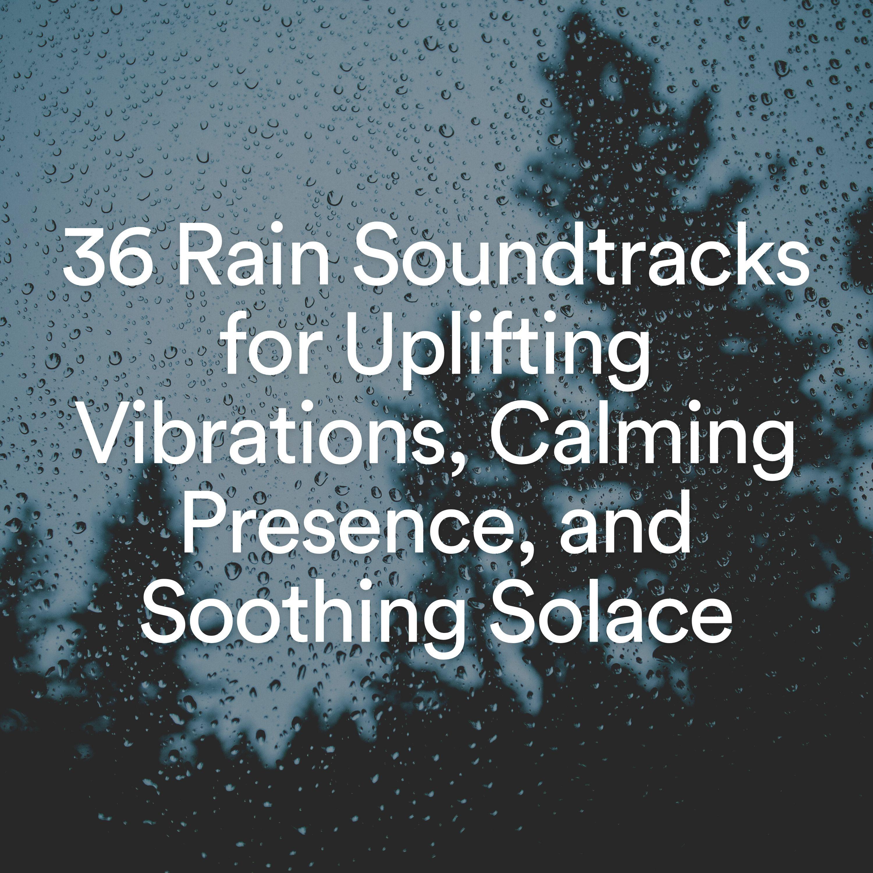 Постер альбома 36 Rain Soundtracks for Uplifting Vibrations, Calming Presence, and Soothing Solace