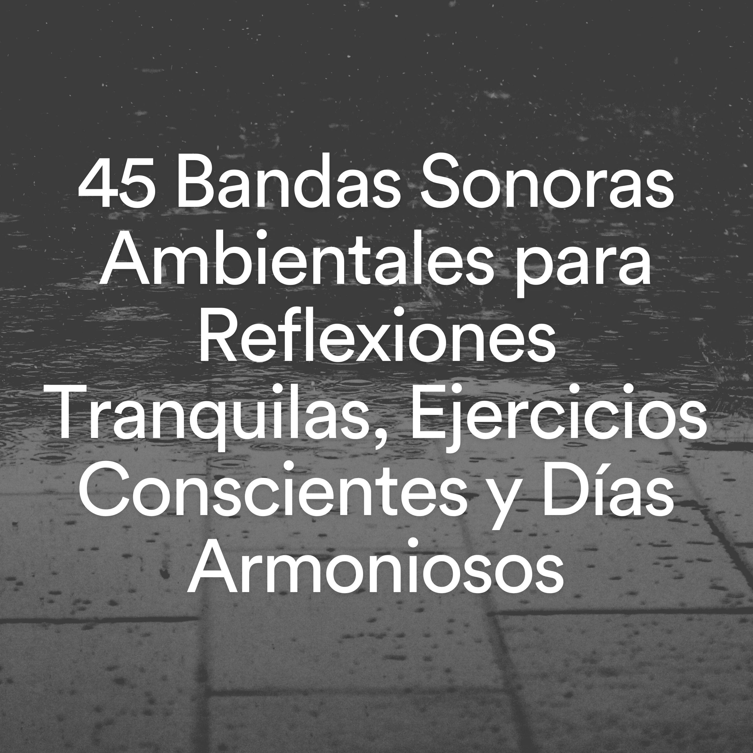 Постер альбома 45 Bandas Sonoras Ambientales para Reflexiones Tranquilas, Ejercicios Conscientes y Días Armoniosos