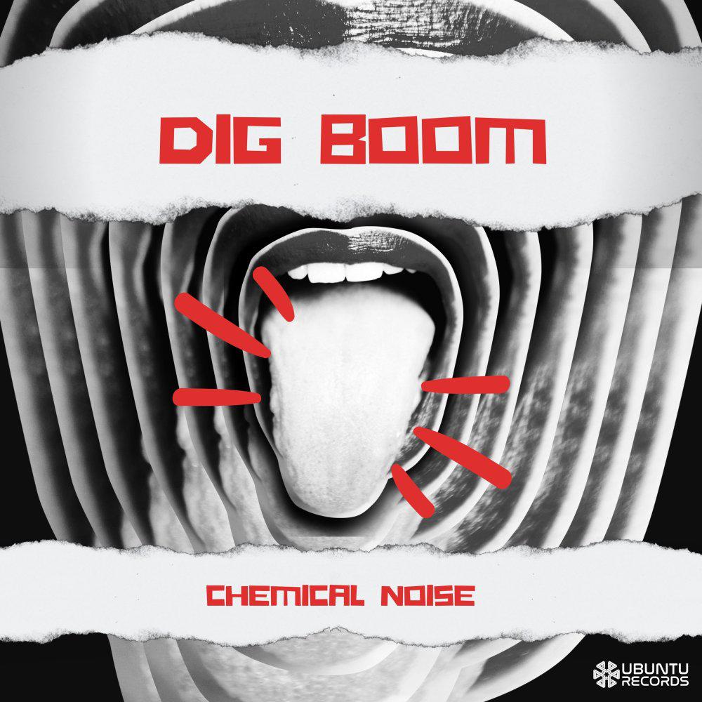 Постер альбома Dig Boom