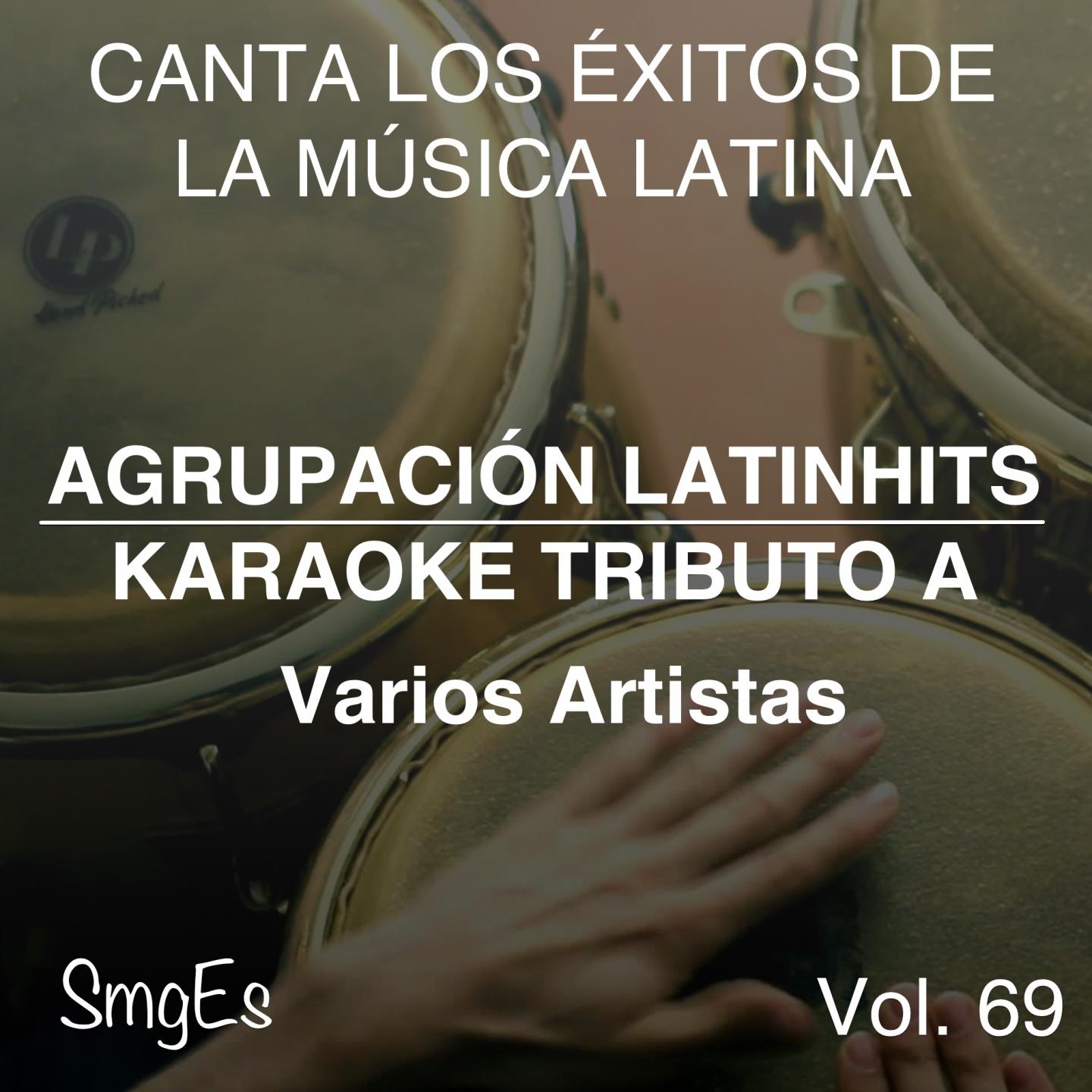 Постер альбома Instrumental Karaoke Series: Varios Artistas, Vol. 69