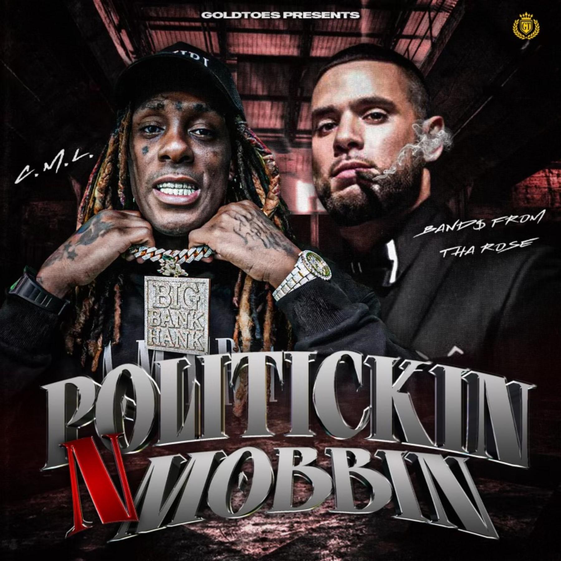 Постер альбома Politickin N Mobbin