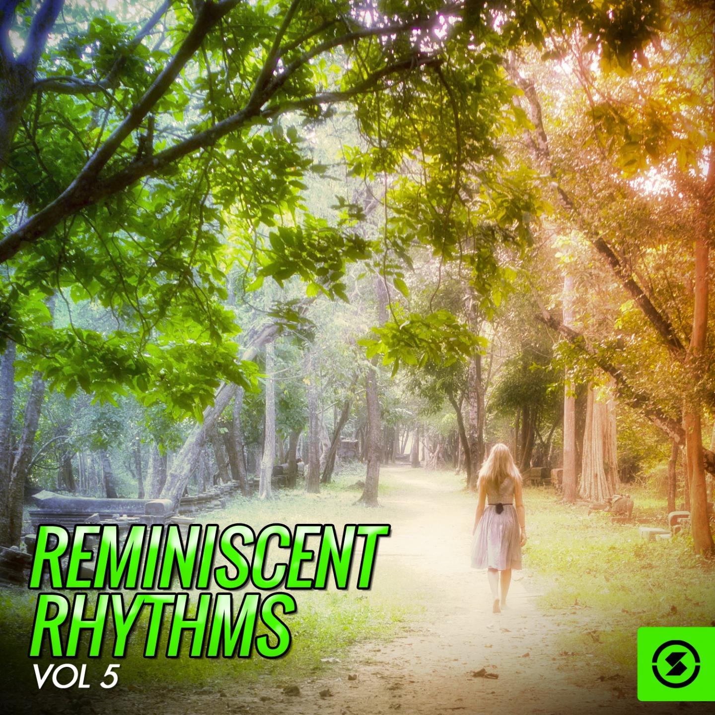 Постер альбома Reminiscent Rhythms, Vol. 5