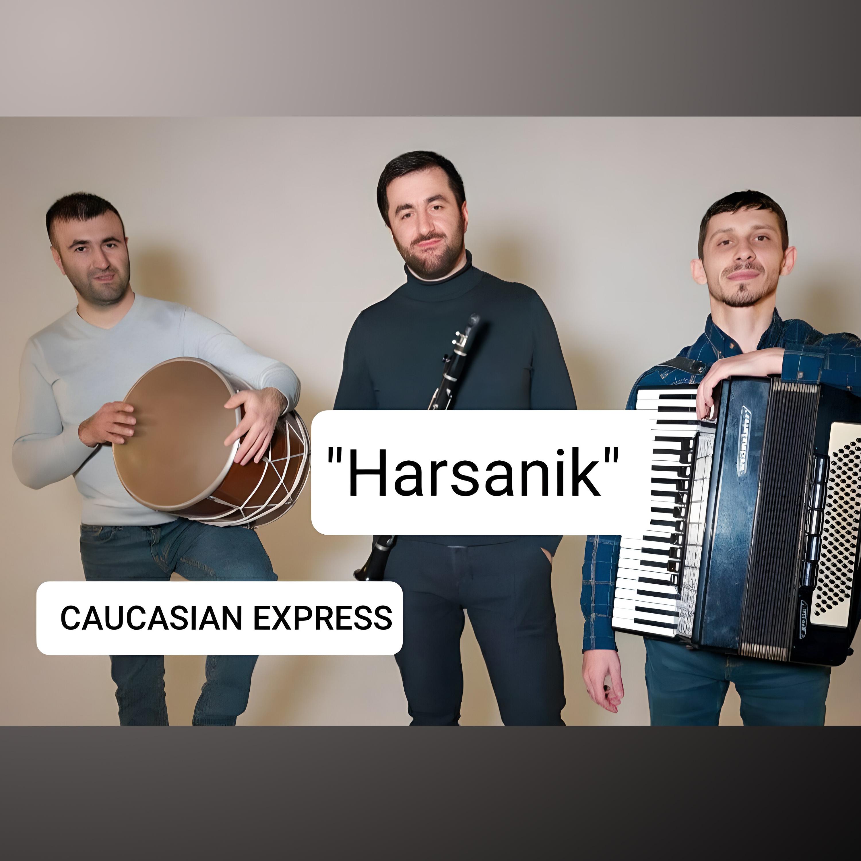 Постер альбома Harsanik