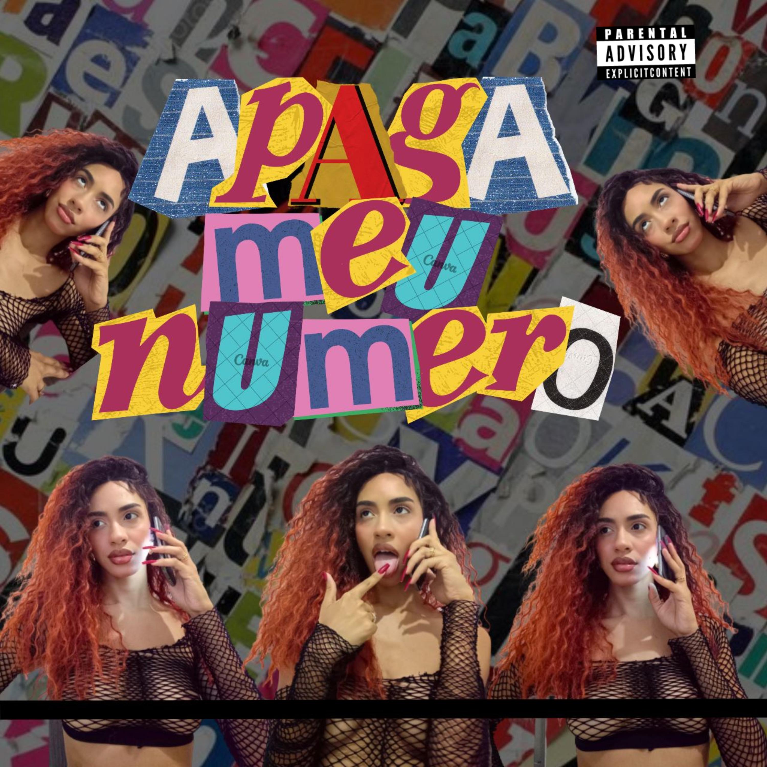 Постер альбома Apaga Meu Numero