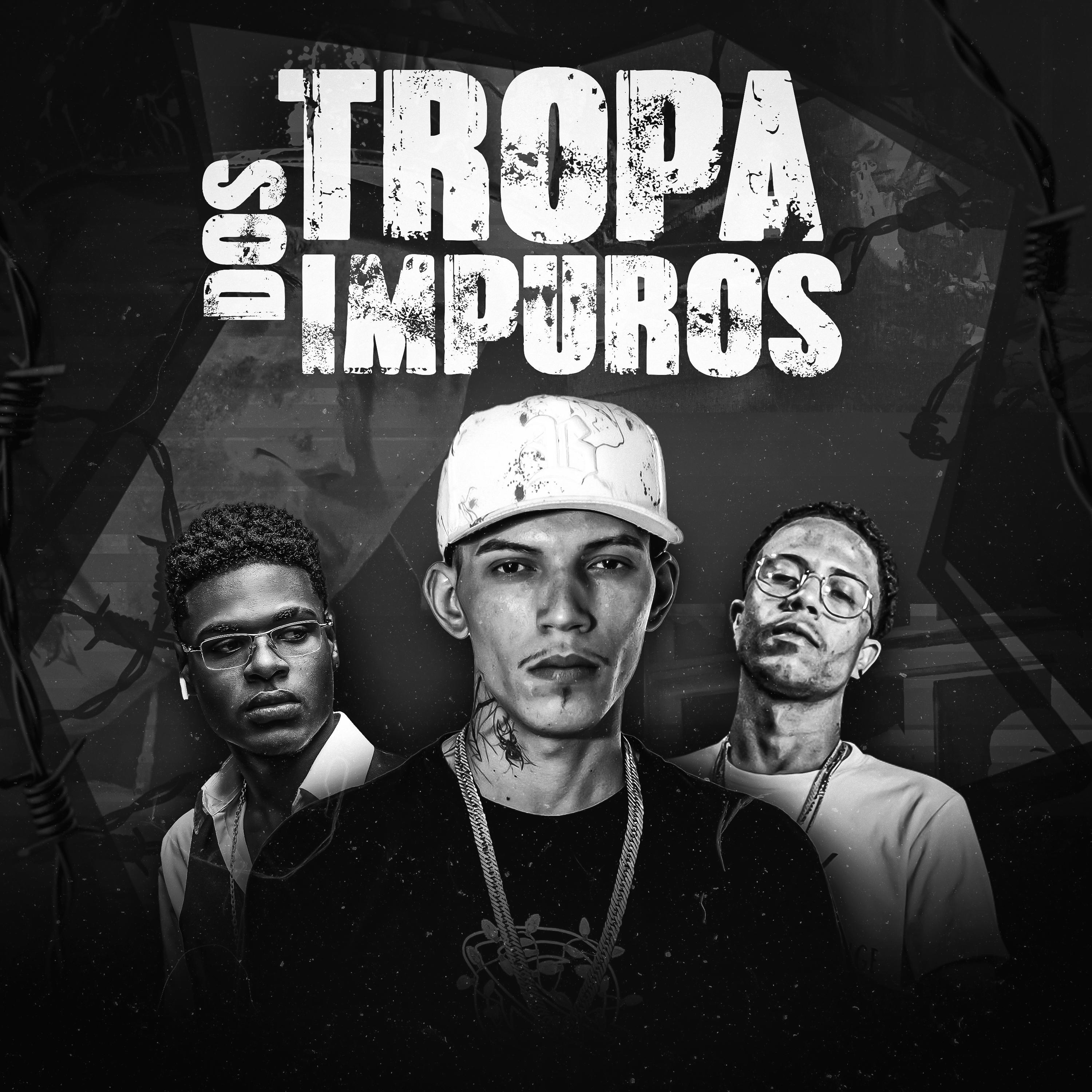 Постер альбома Tropa dos Impuros