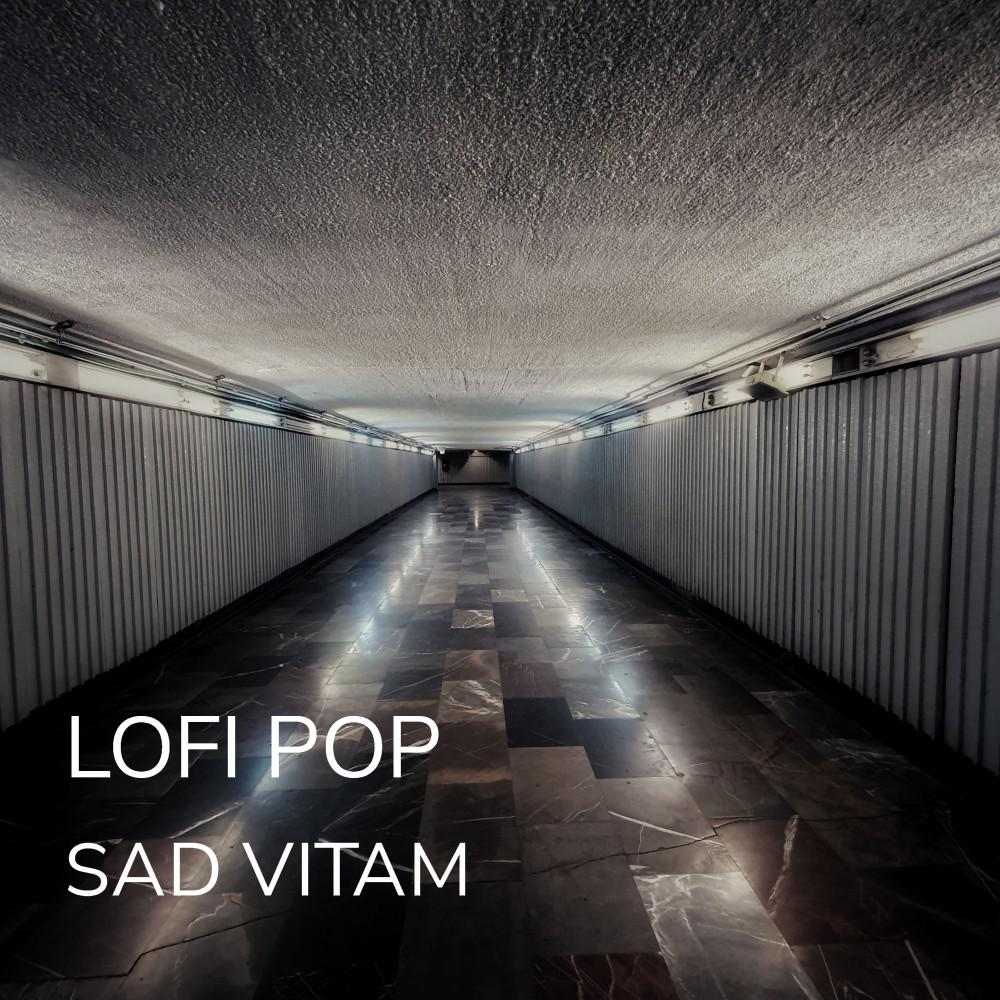 Постер альбома Lofi Pop