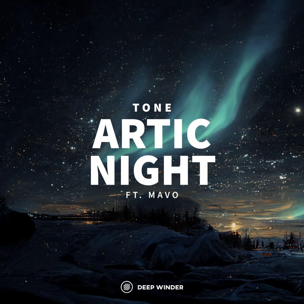 Постер альбома Arctic Night
