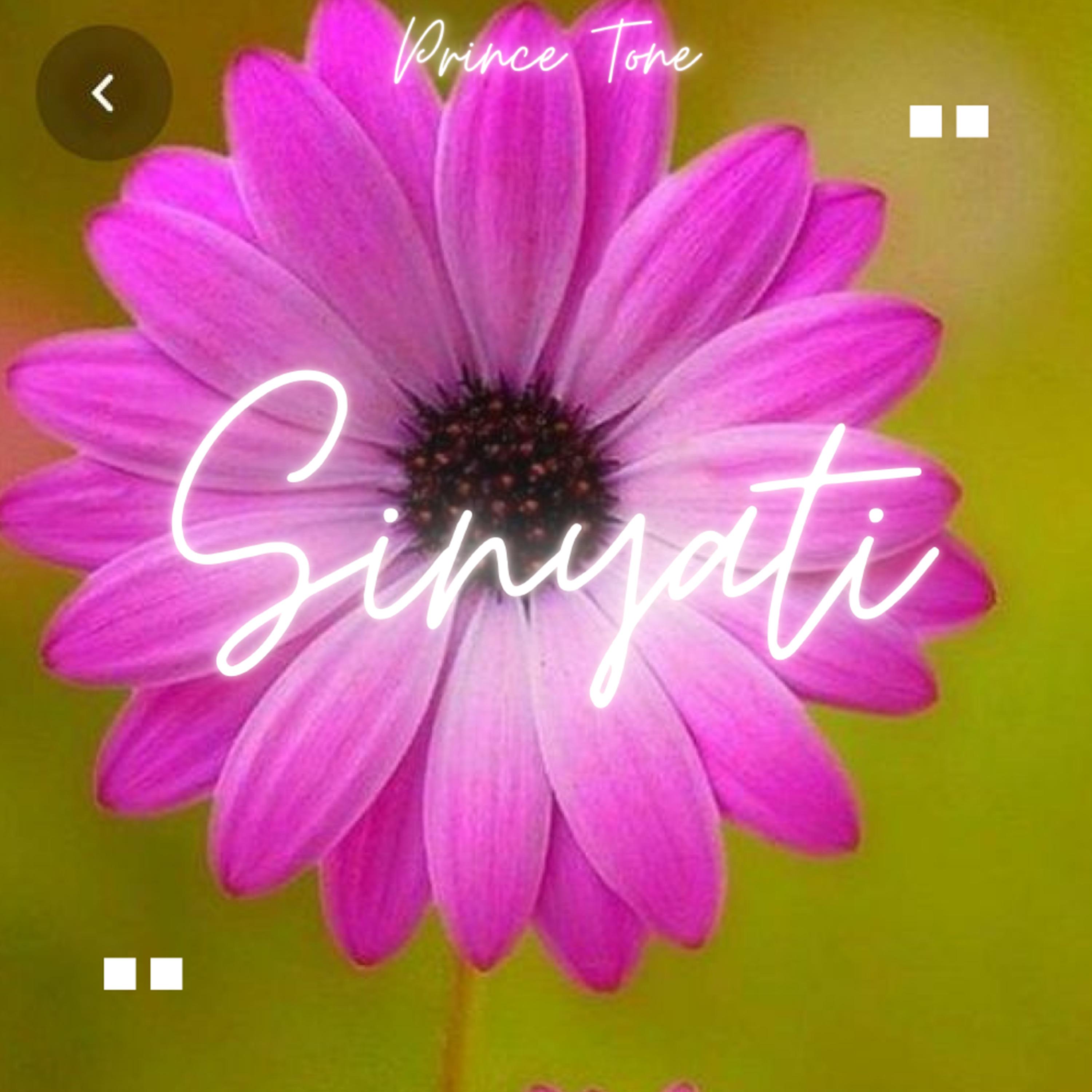 Постер альбома Sinyati