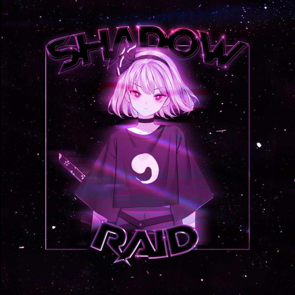 Постер альбома Shadow Raid