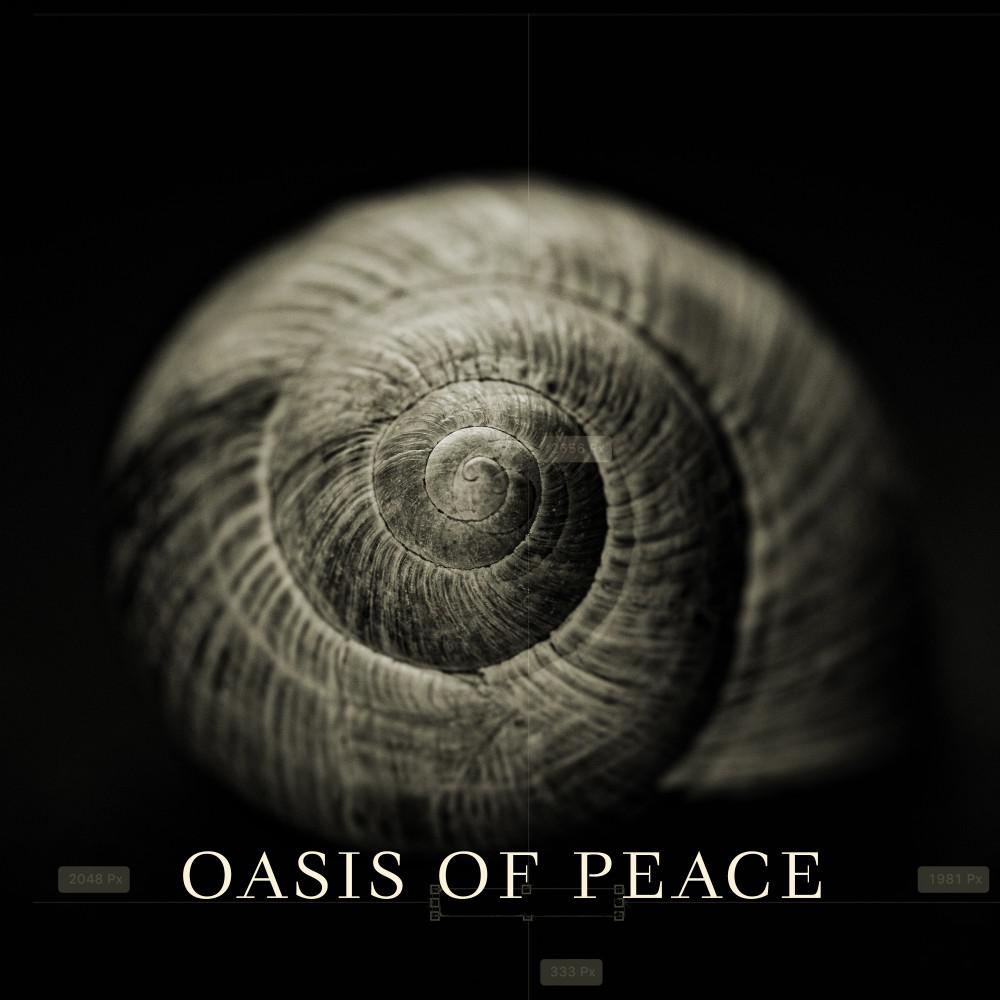 Постер альбома Oasis of Peace