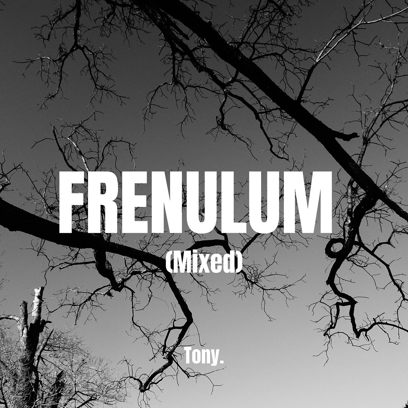 Постер альбома Frenulum (Mixed)