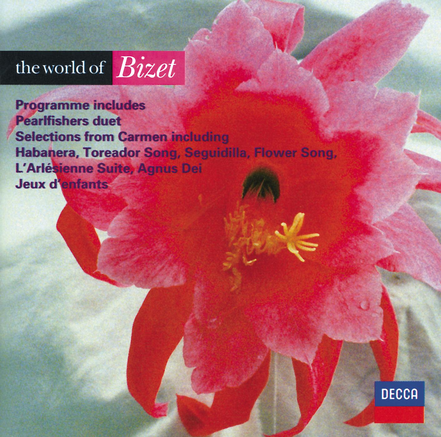 Постер альбома The World of Bizet