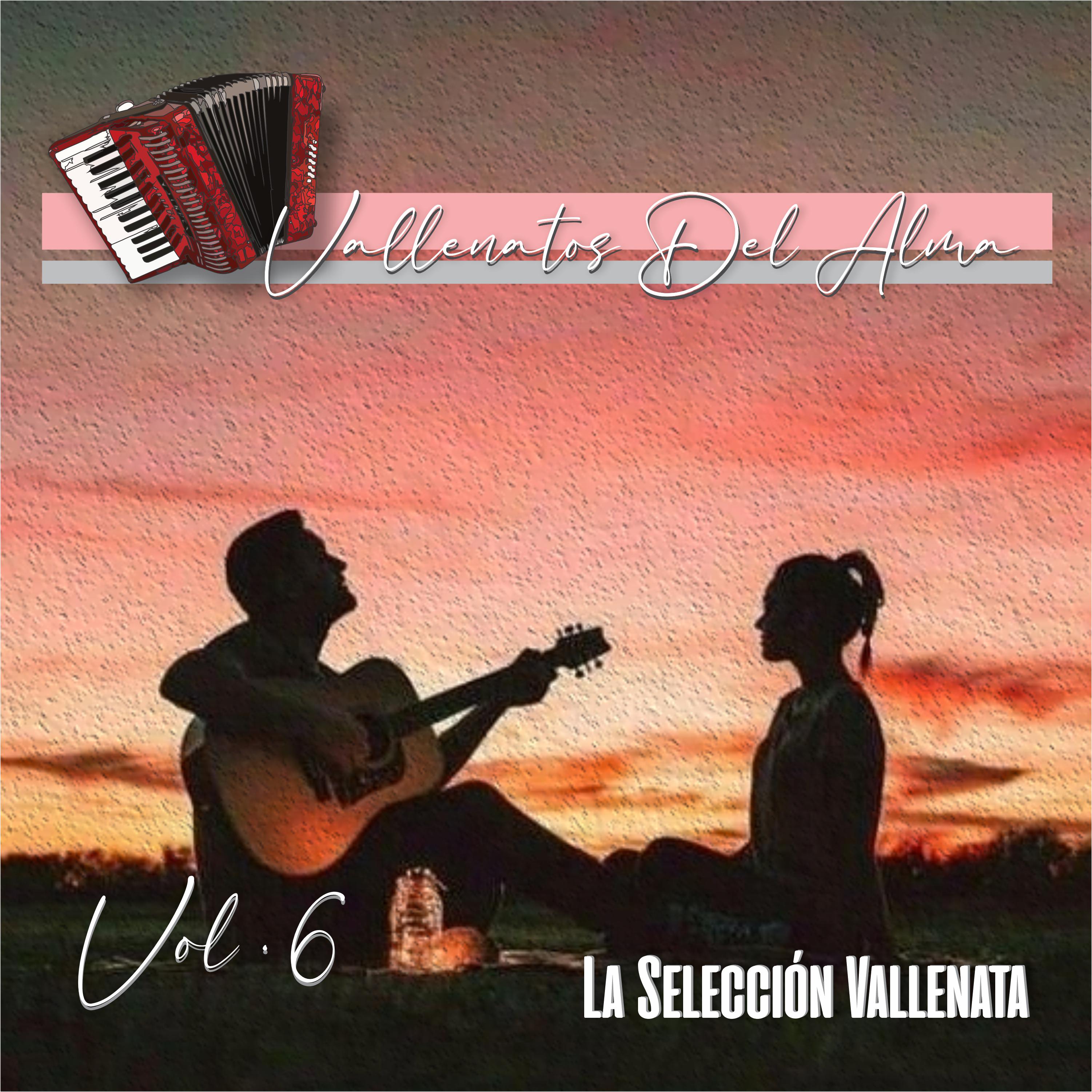 Постер альбома Vallenatos Del Alma, Vol.6