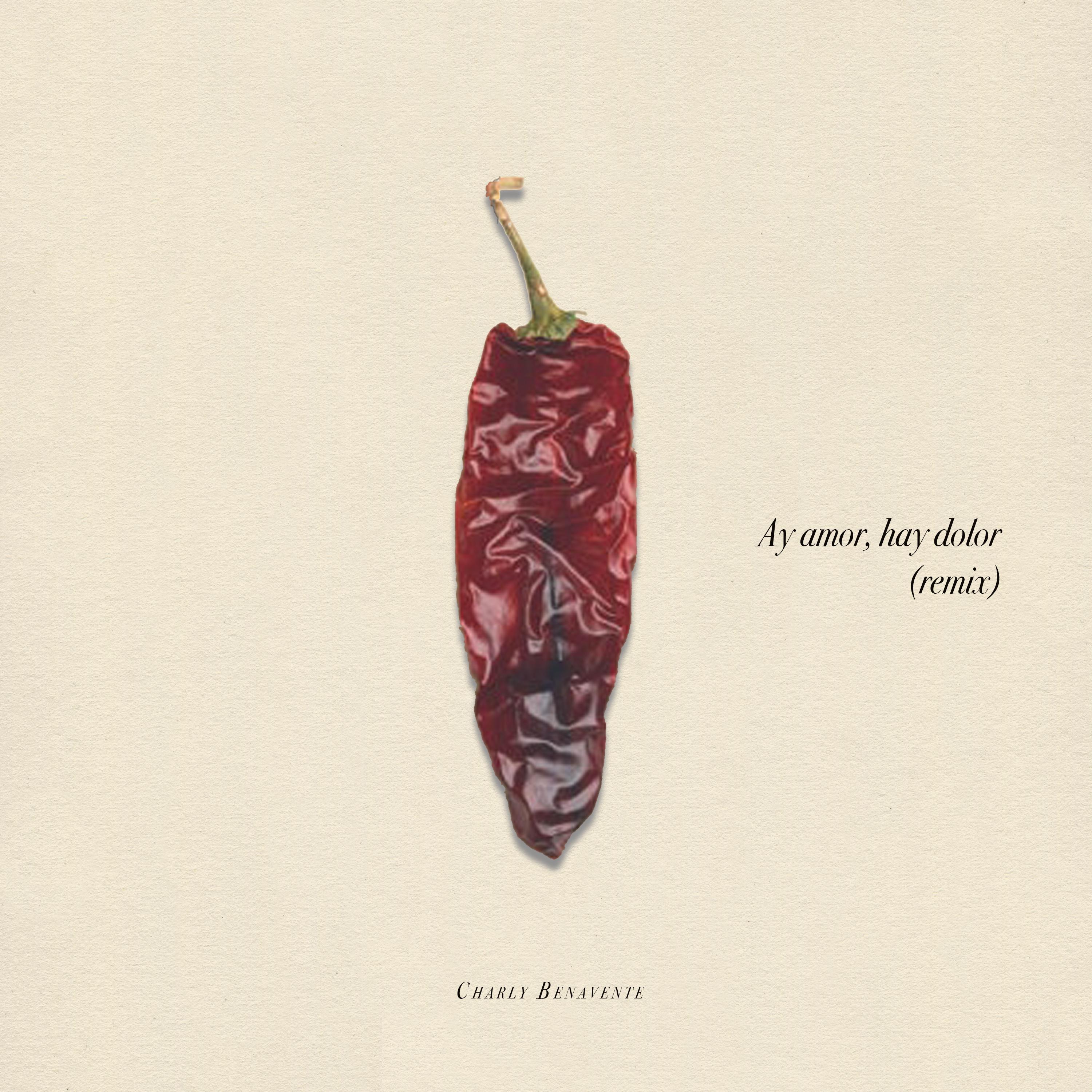 Постер альбома Ay amor, hay dolor