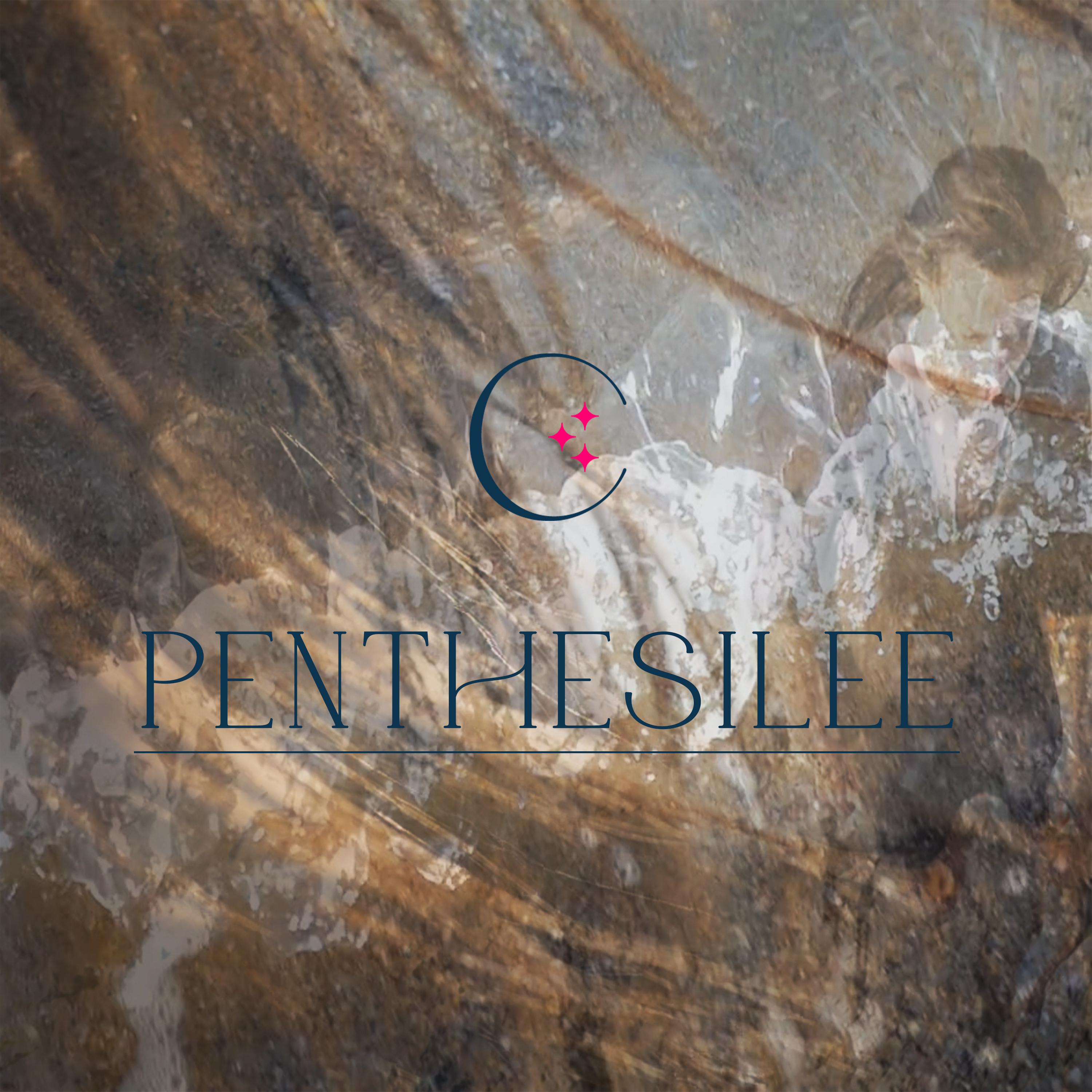 Постер альбома Penthésilée
