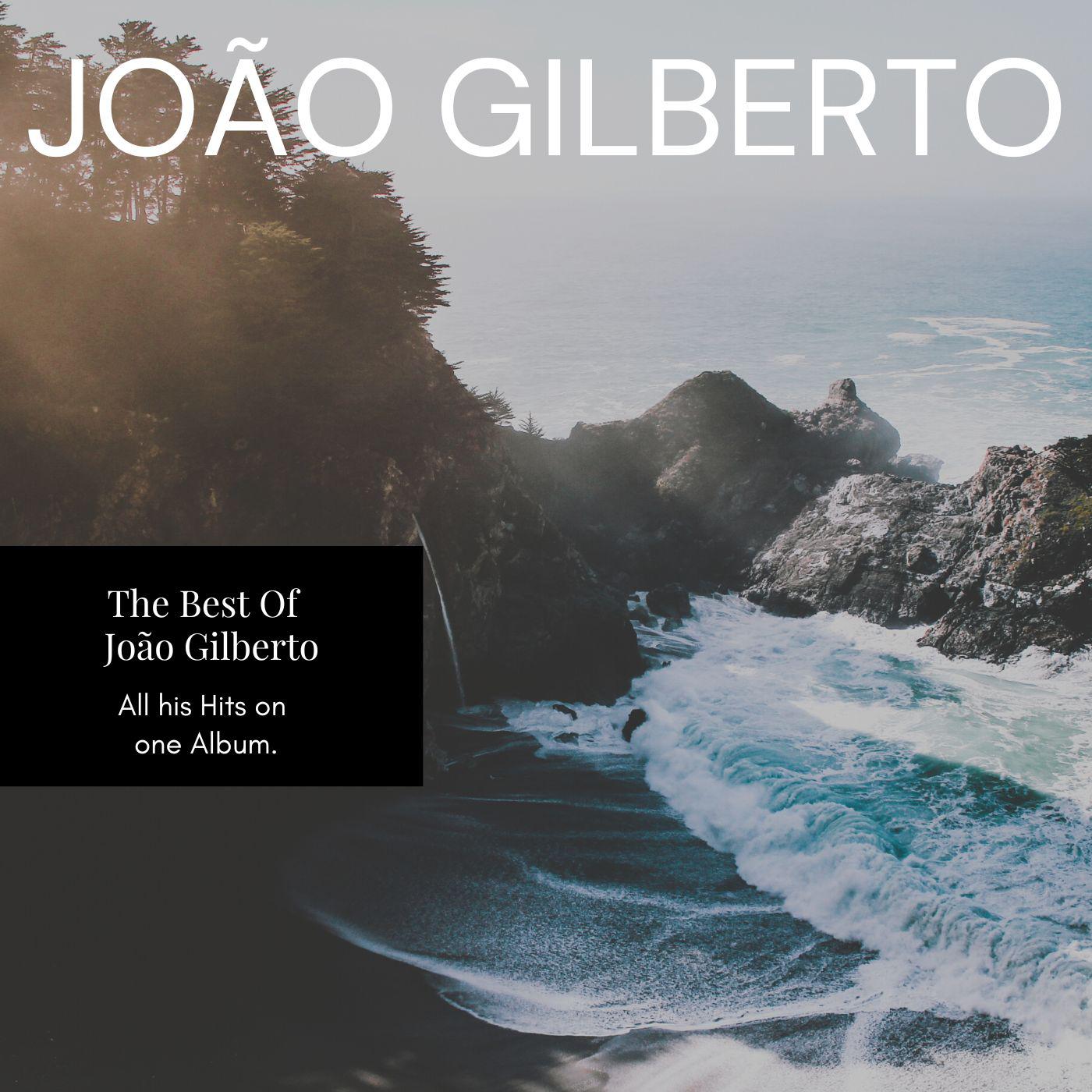 Постер альбома The Best Of Joao Gilberto