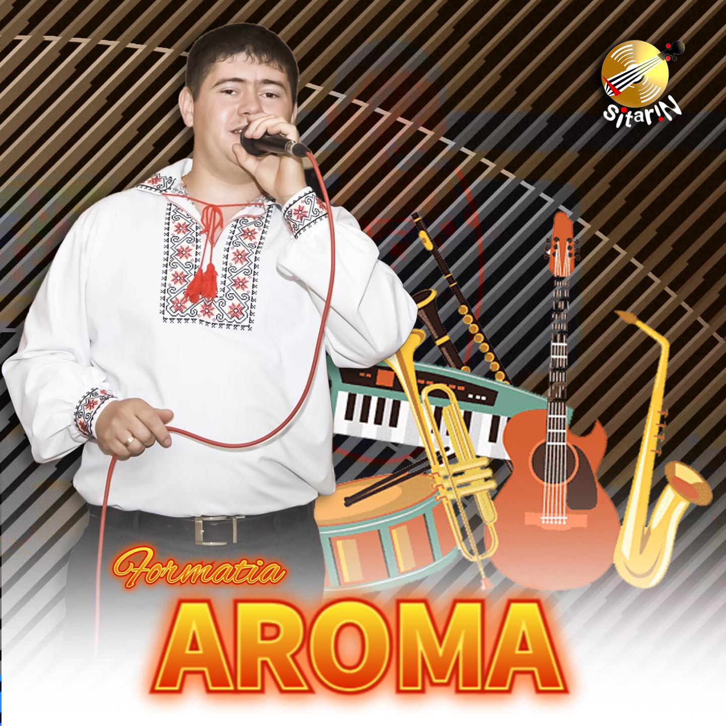 Постер альбома Muzica Moldoveneasca cu Formatia Aroma