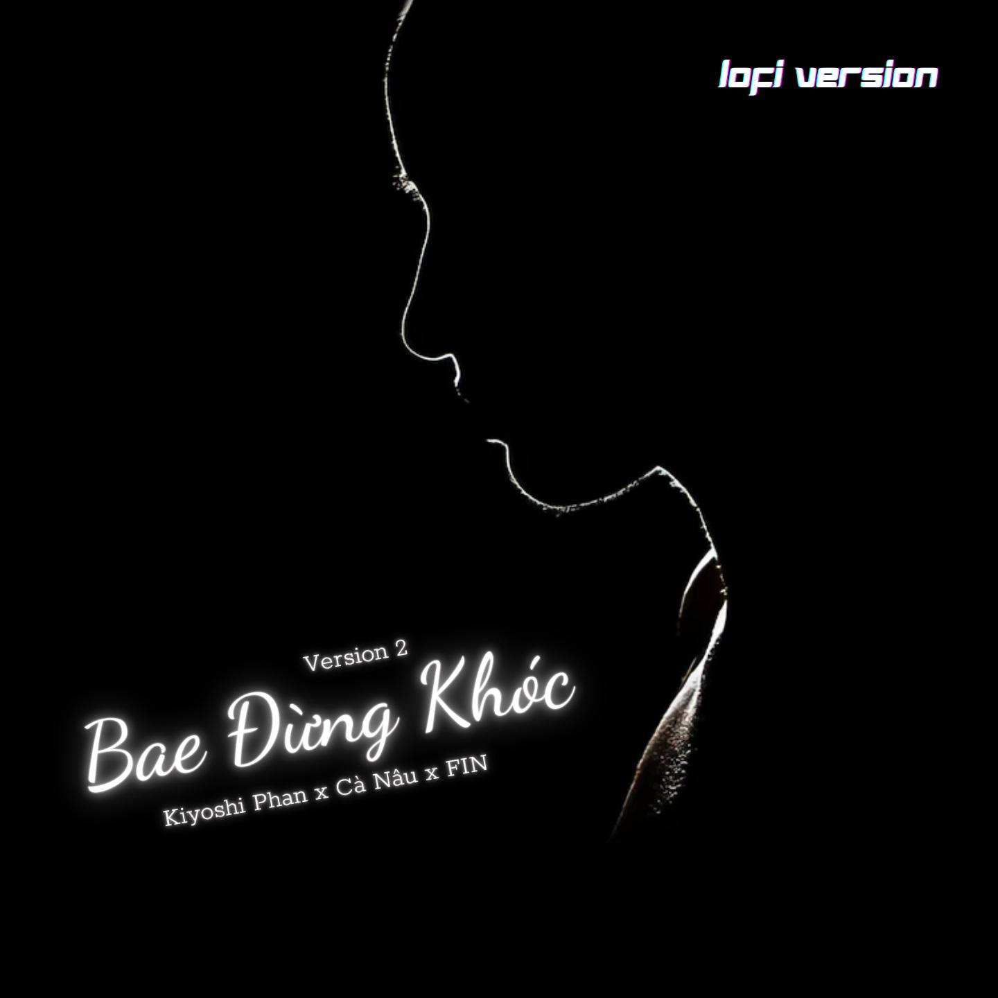 Постер альбома Bae Đừng Khóc
