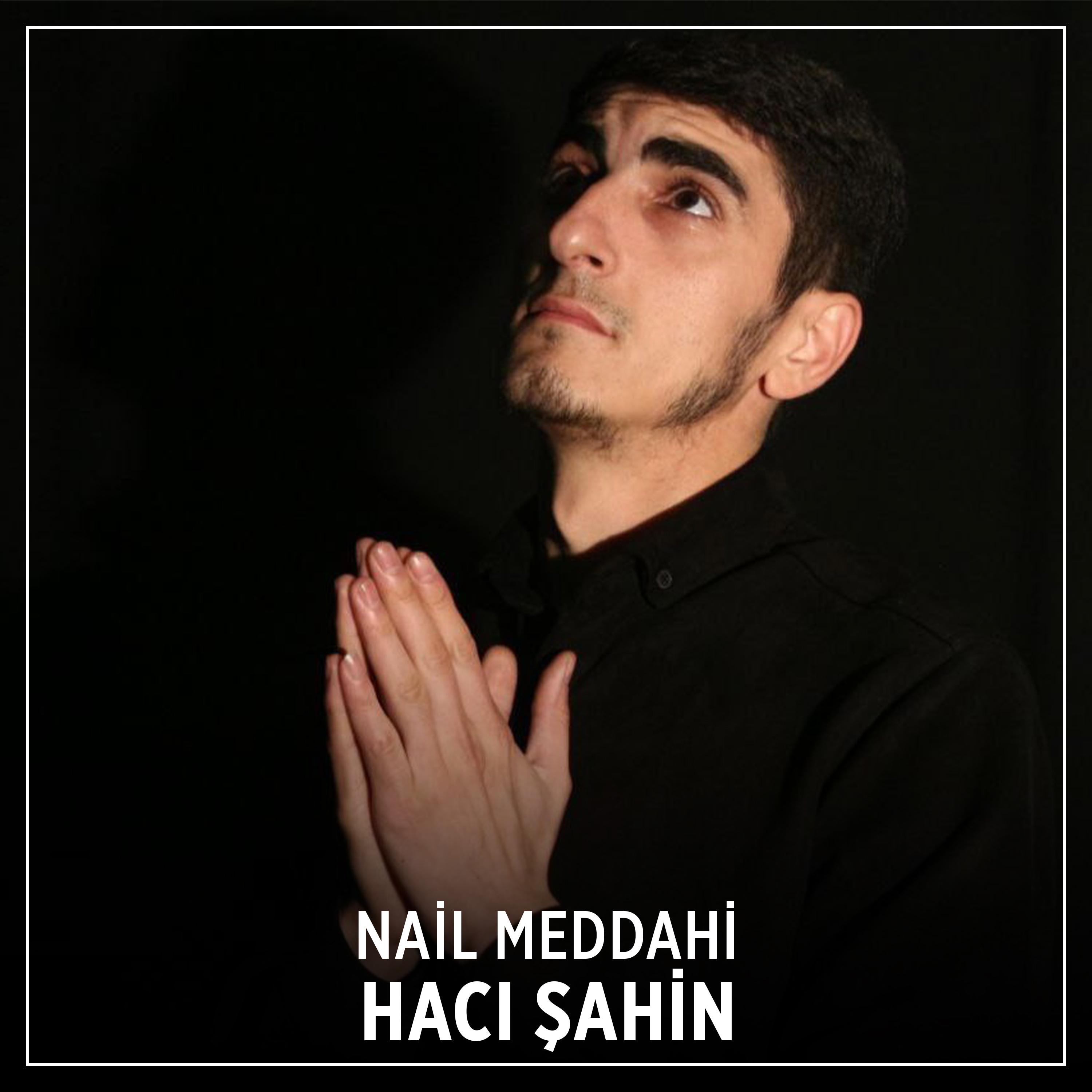 Постер альбома Hacı Şahin