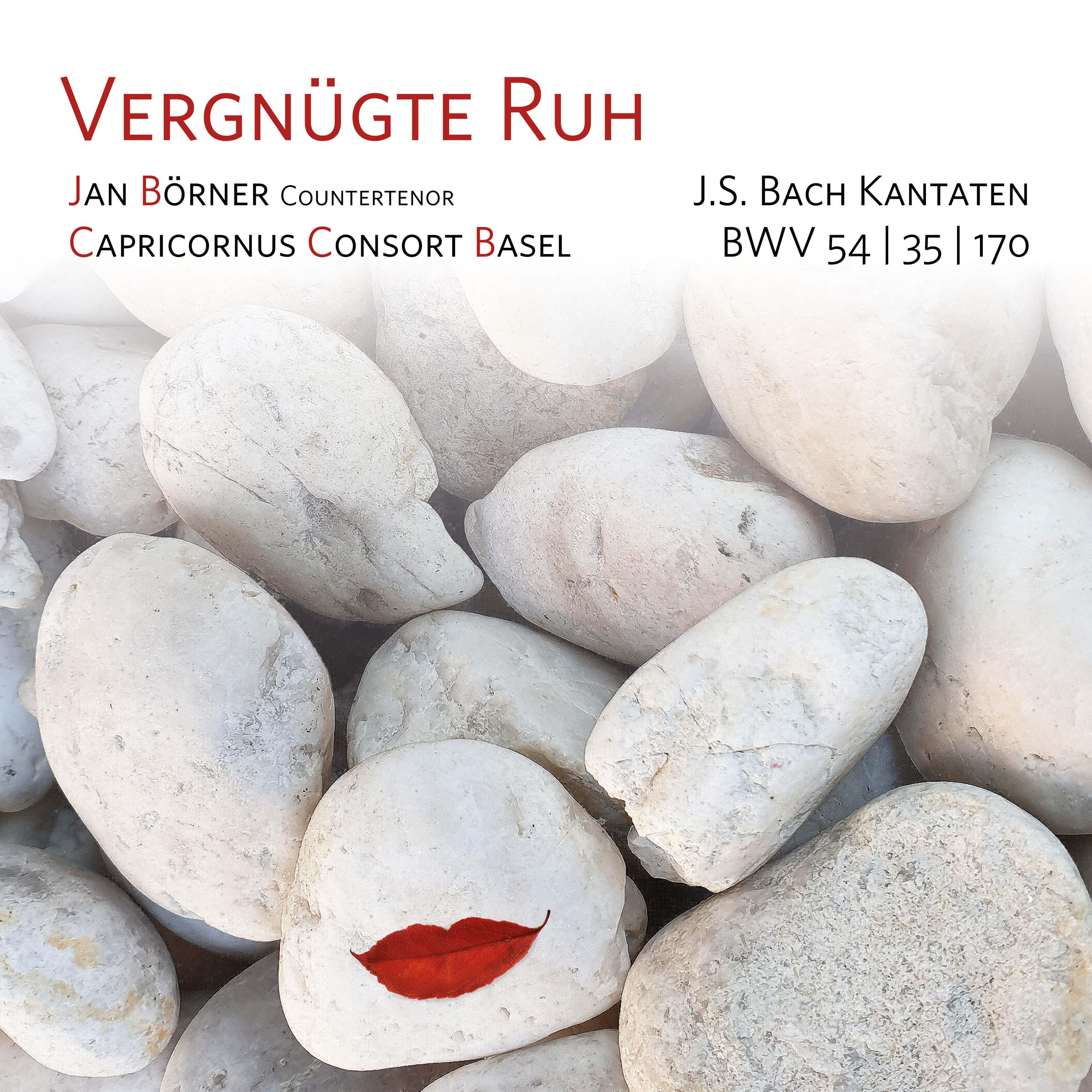 Постер альбома Widerstehe doch der Sünde, BWV 54: I. Aria. Widerstehe doch der Sünde