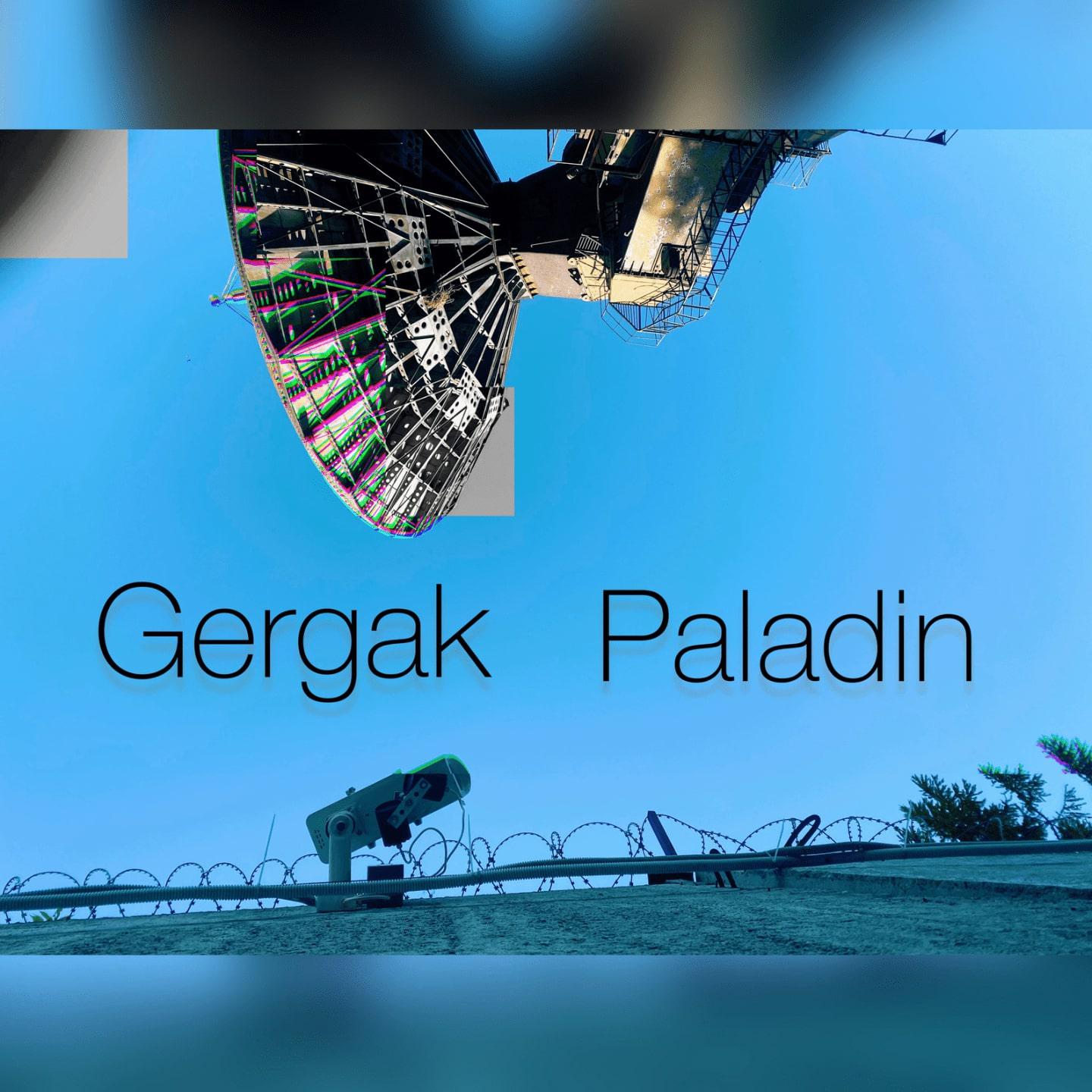 Постер альбома Paladin