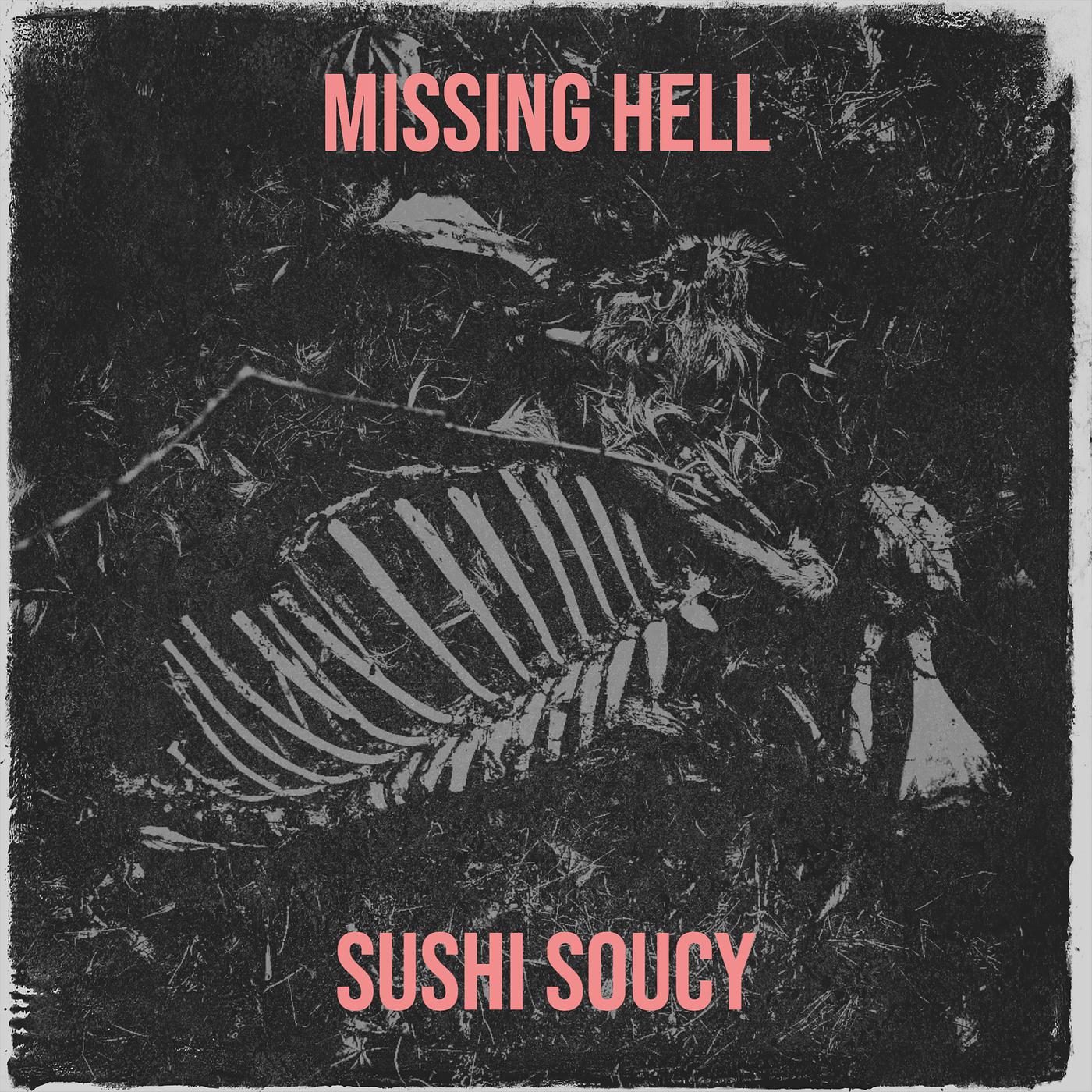 Постер альбома Missing Hell