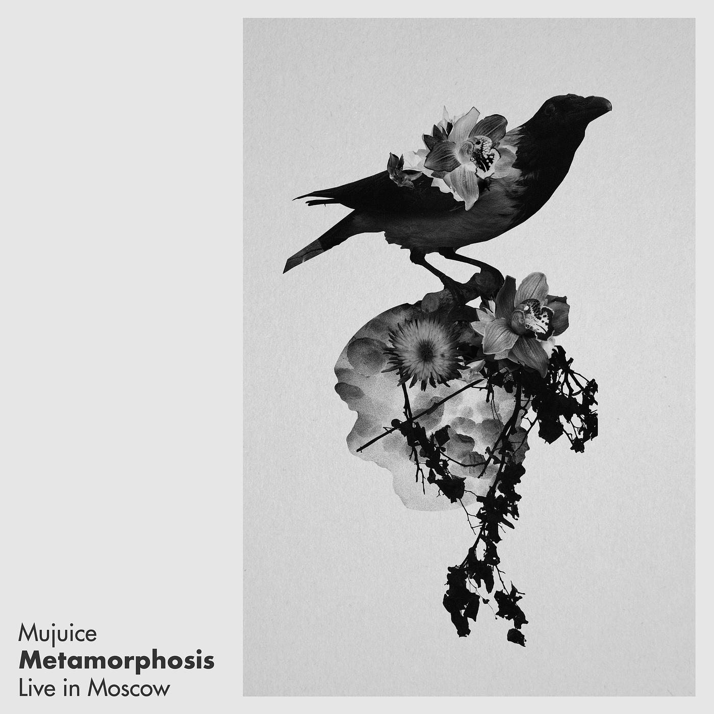 Постер альбома Metamorphosis (Live in Moscow)