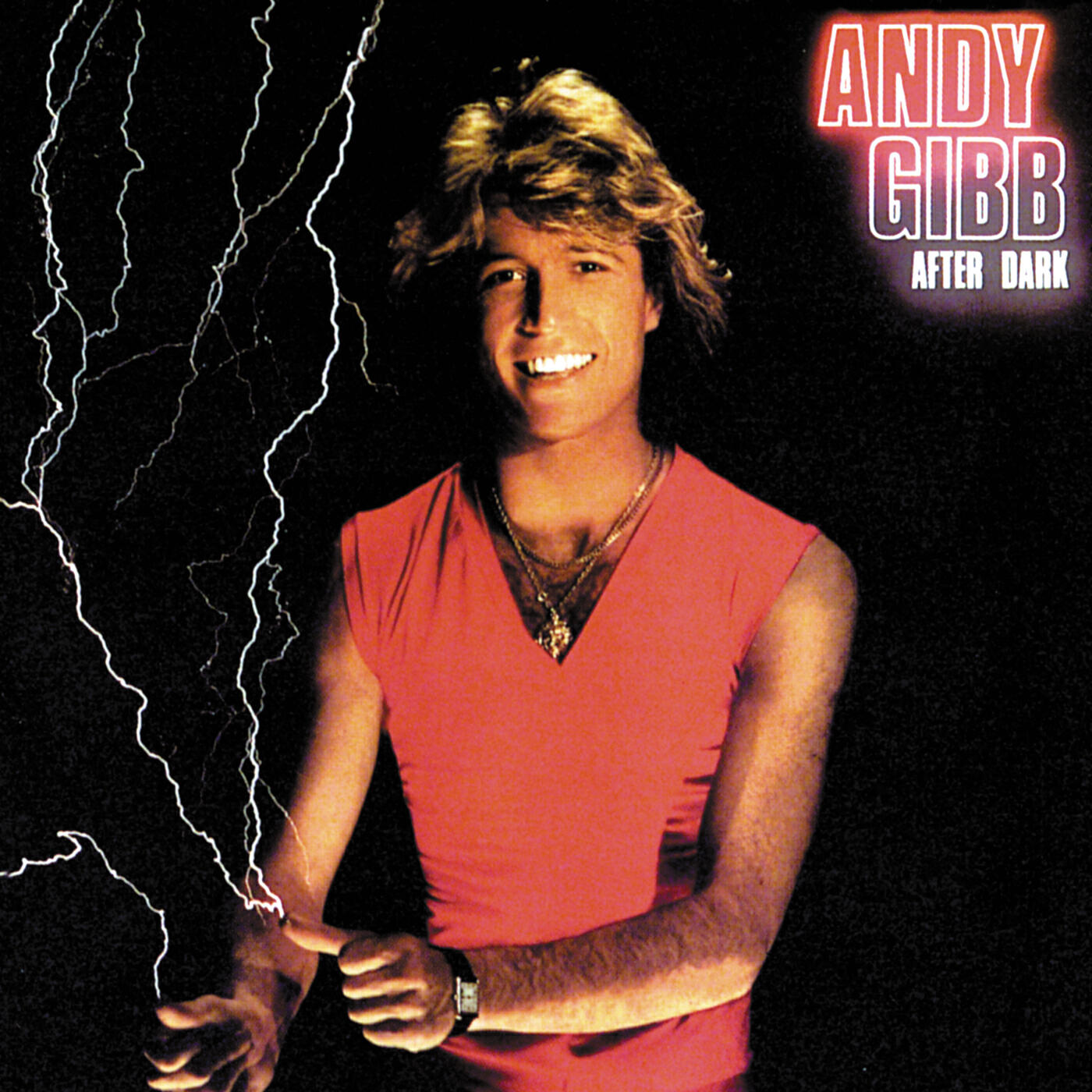 Andy Gibb - Rest Your Love On Me