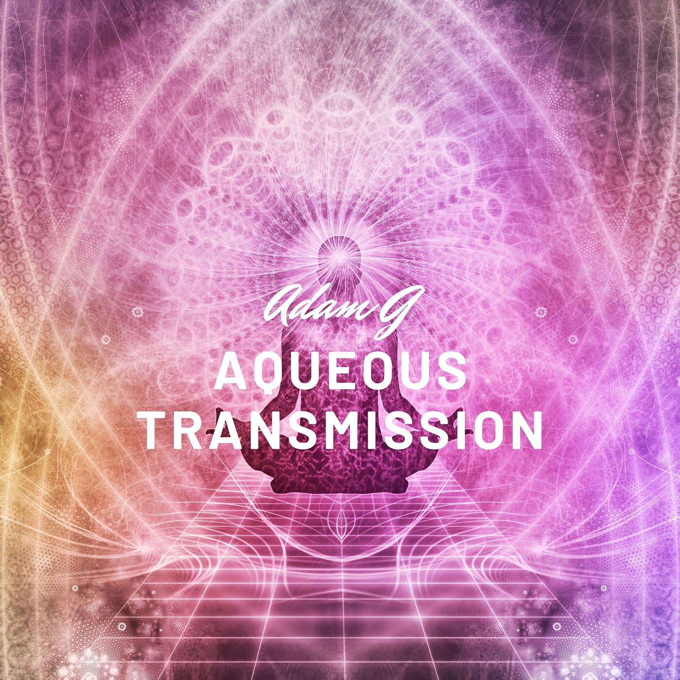 Постер альбома Aqueous Transmission