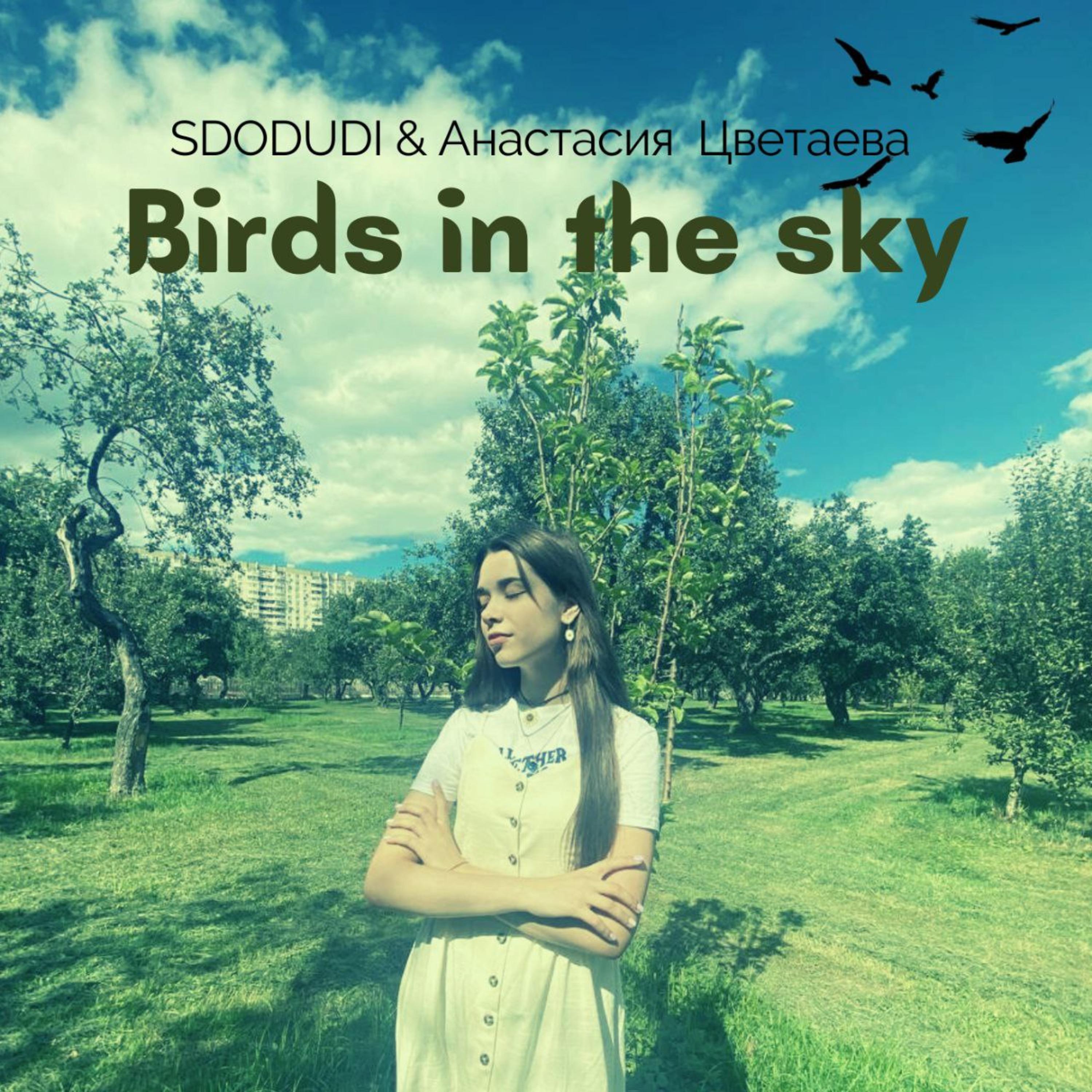 Постер альбома Birds in the Sky