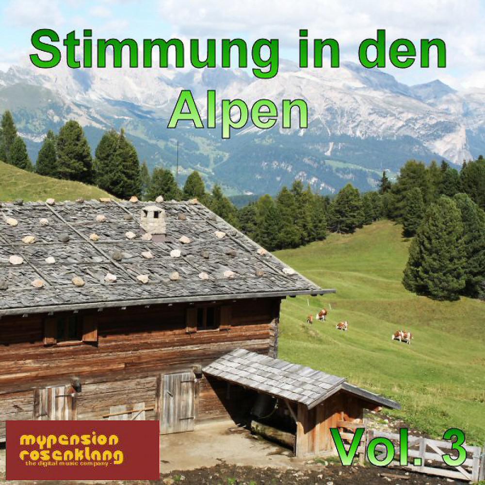 Постер альбома Party in the Alps - Stimmung in Den Alpen Vol. 3