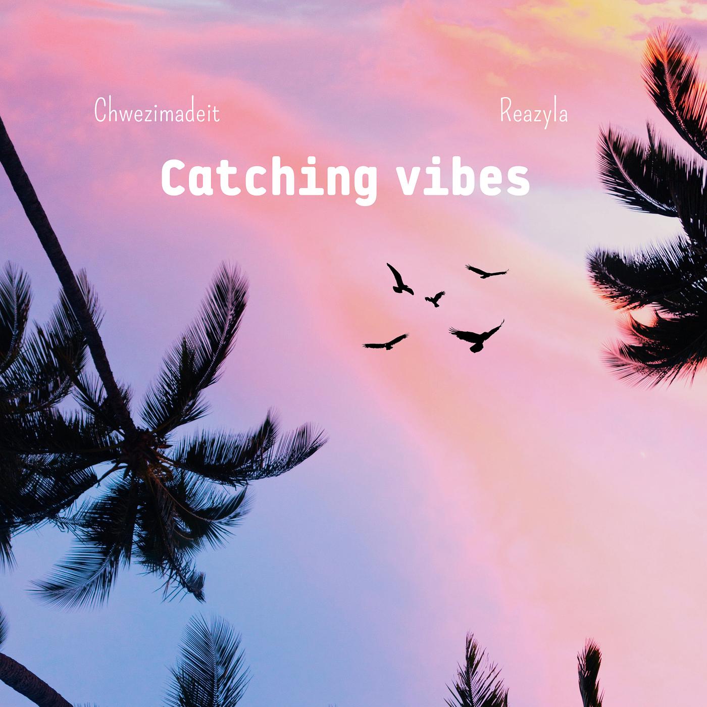 Постер альбома Catching Vibes