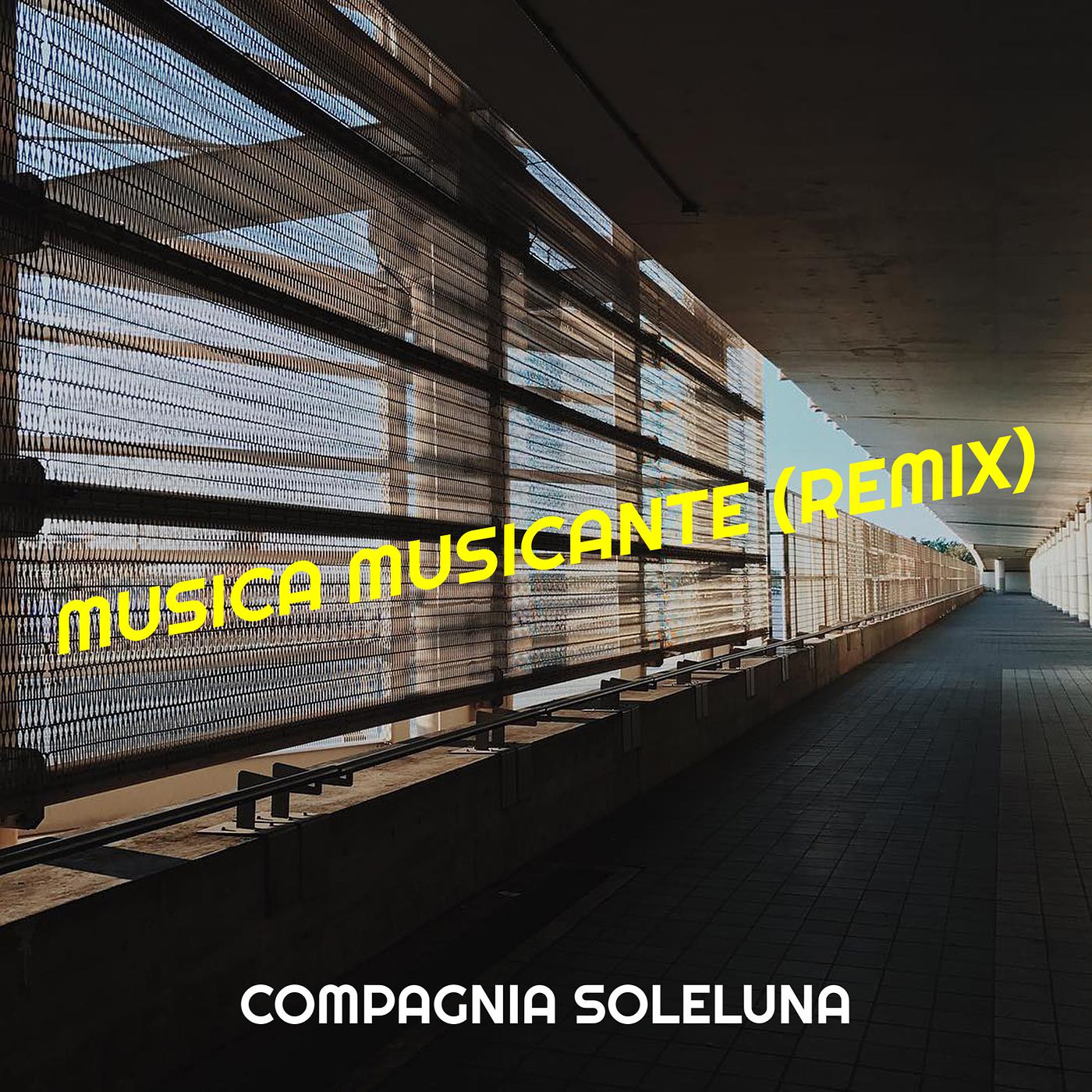 Постер альбома Musica musicante (Remix)