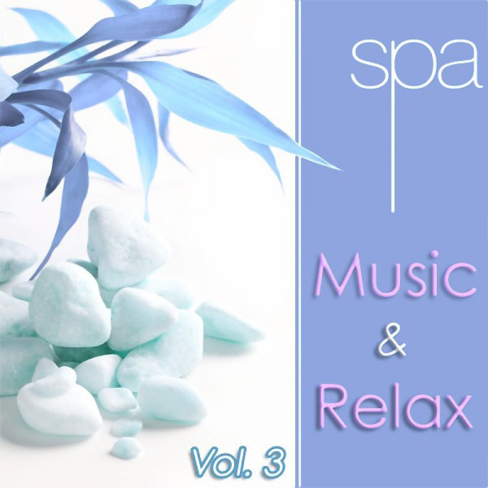 Постер альбома Spa Music & Relax: Vol. 3