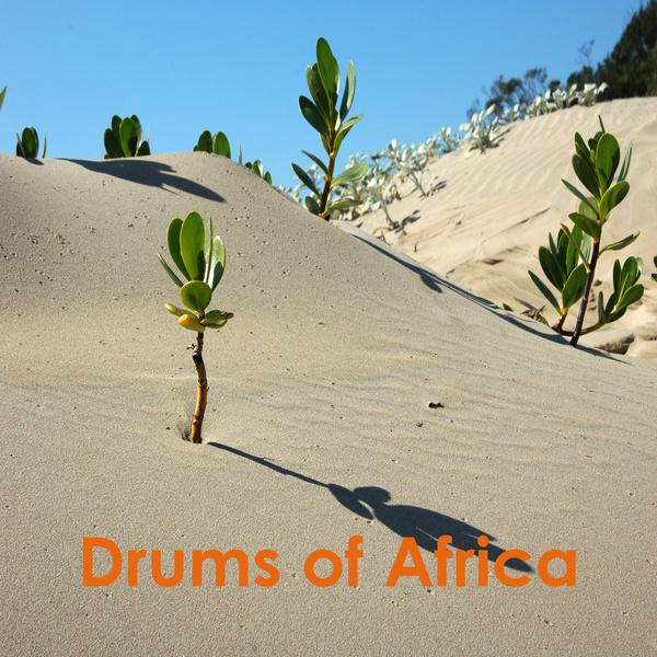Постер альбома Drums of Africa