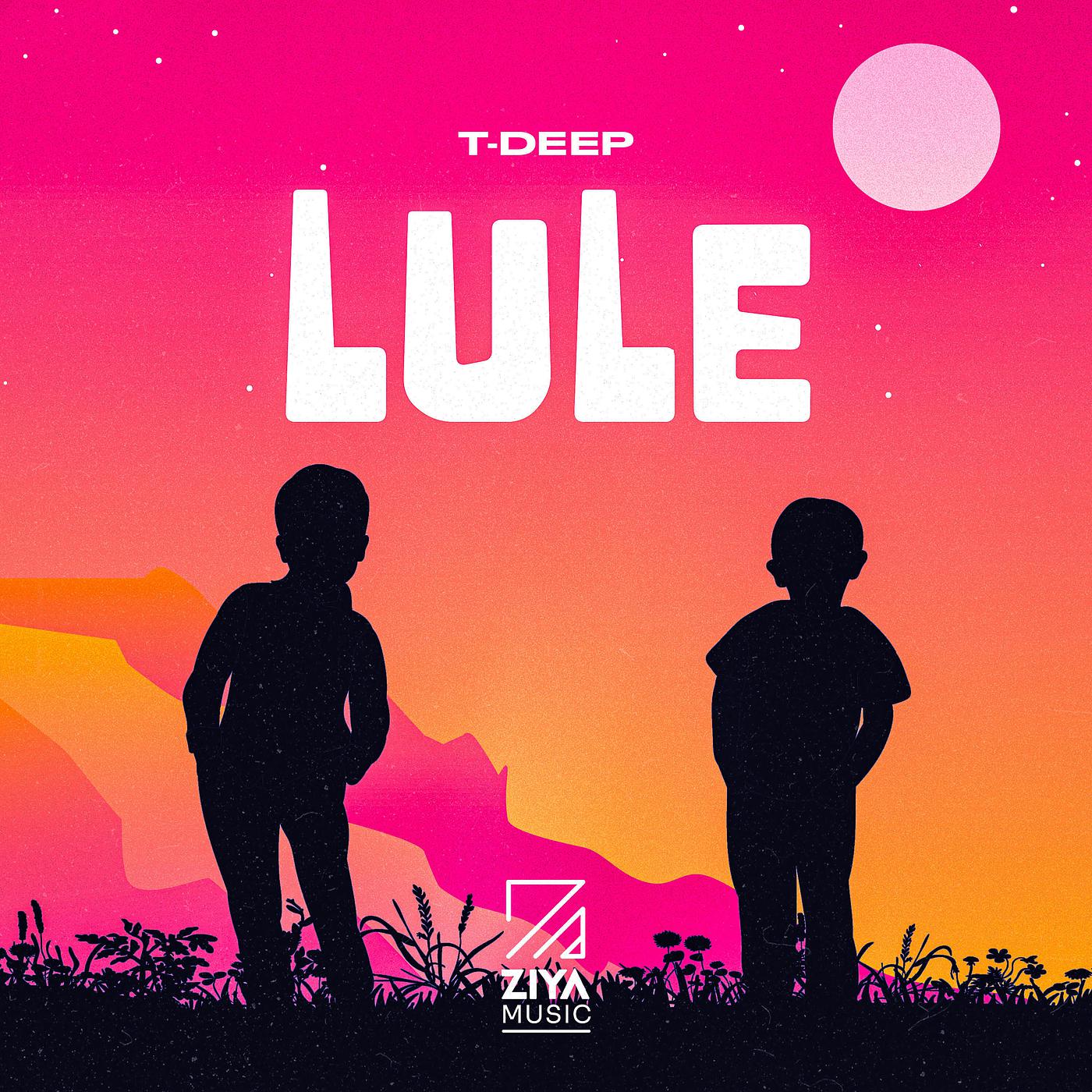 Постер альбома Lule