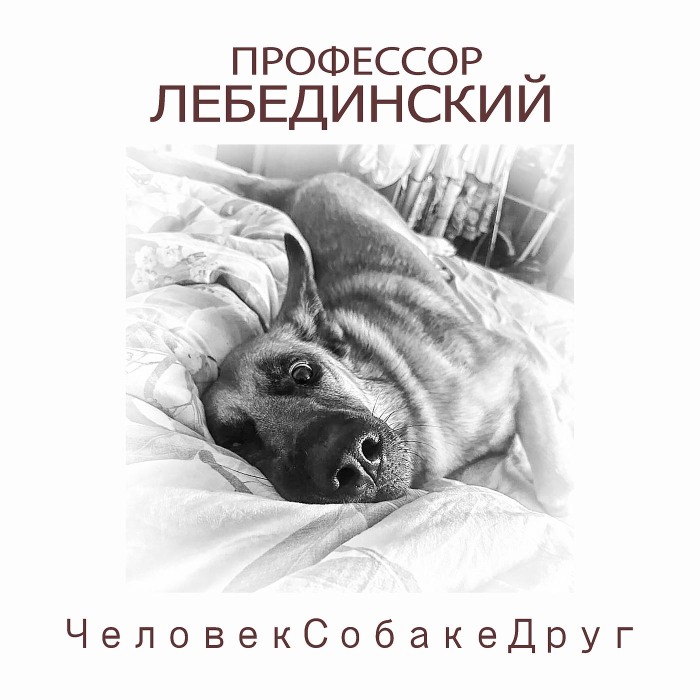 Постер альбома Человек собаке друг