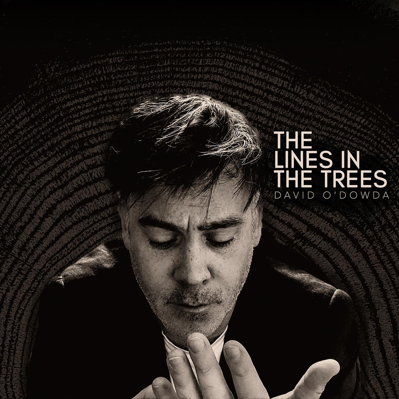 Постер альбома The Lines in the Trees