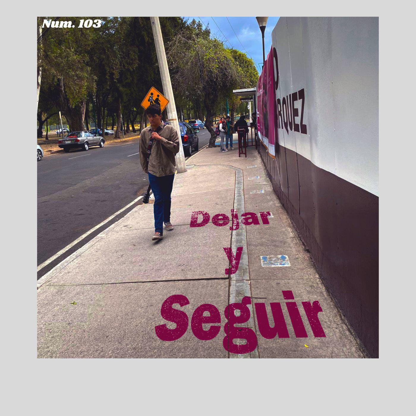Постер альбома Dejar Y Seguir.