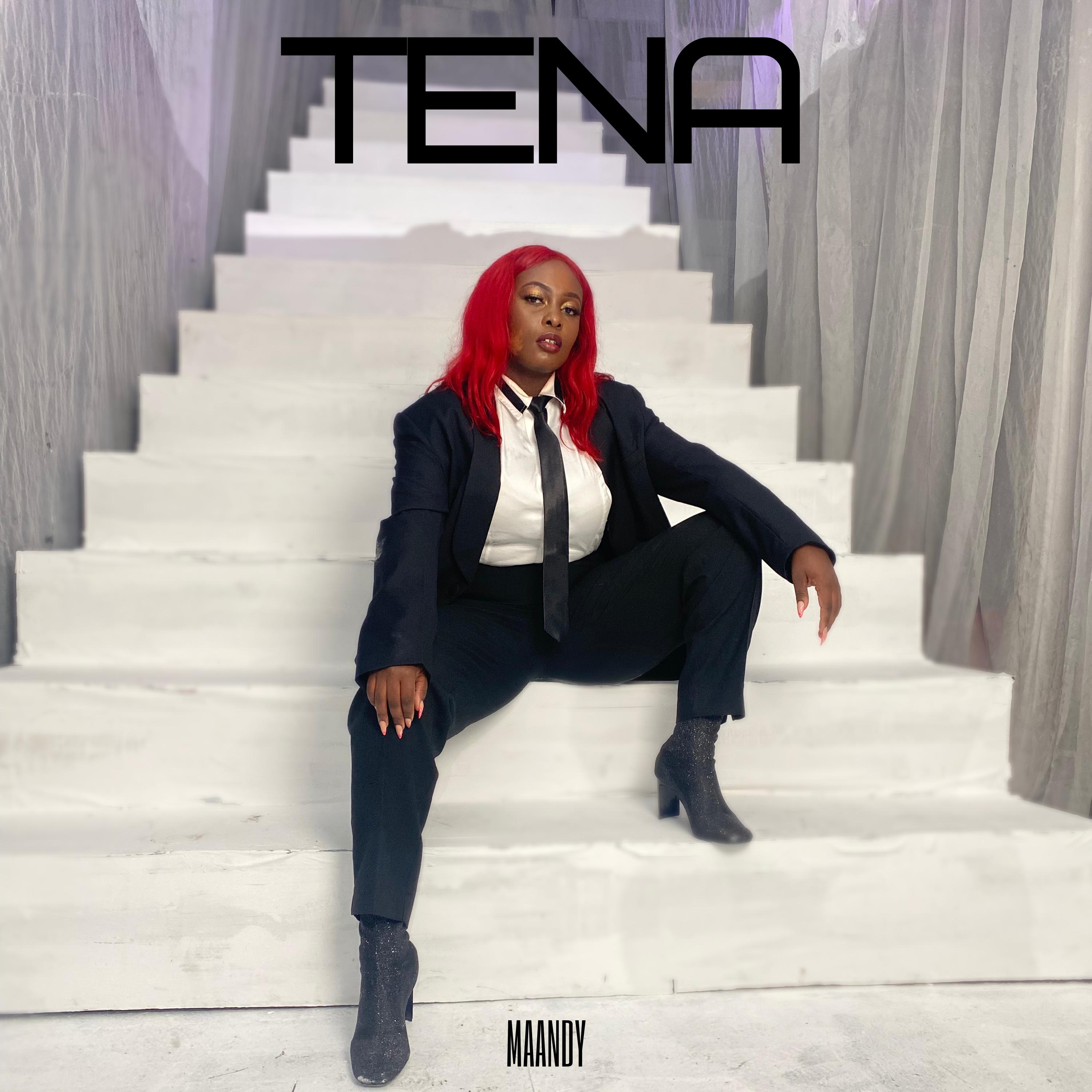 Постер альбома Tena