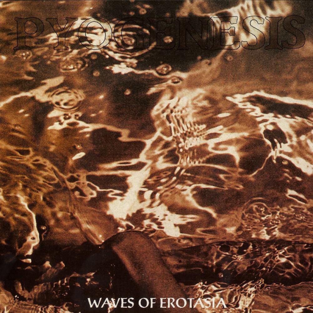 Постер альбома Waves of Erotasia