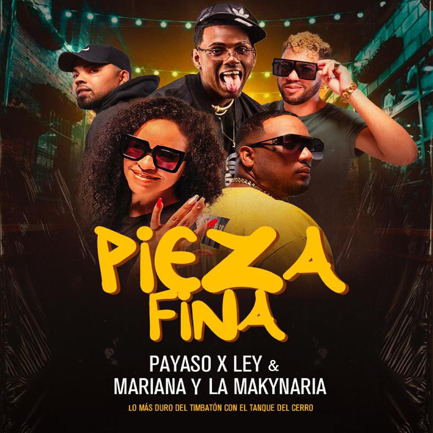 Постер альбома Pieza Fina
