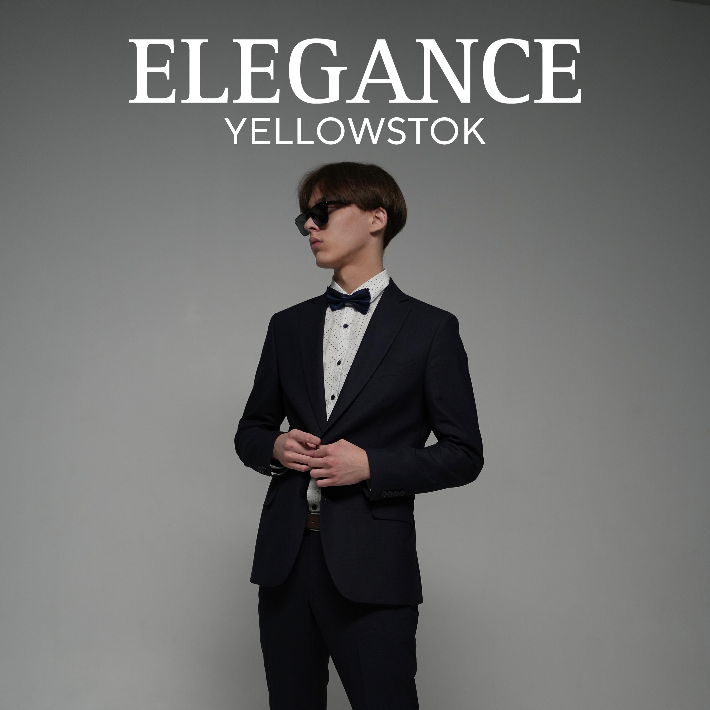 Постер альбома Elegance