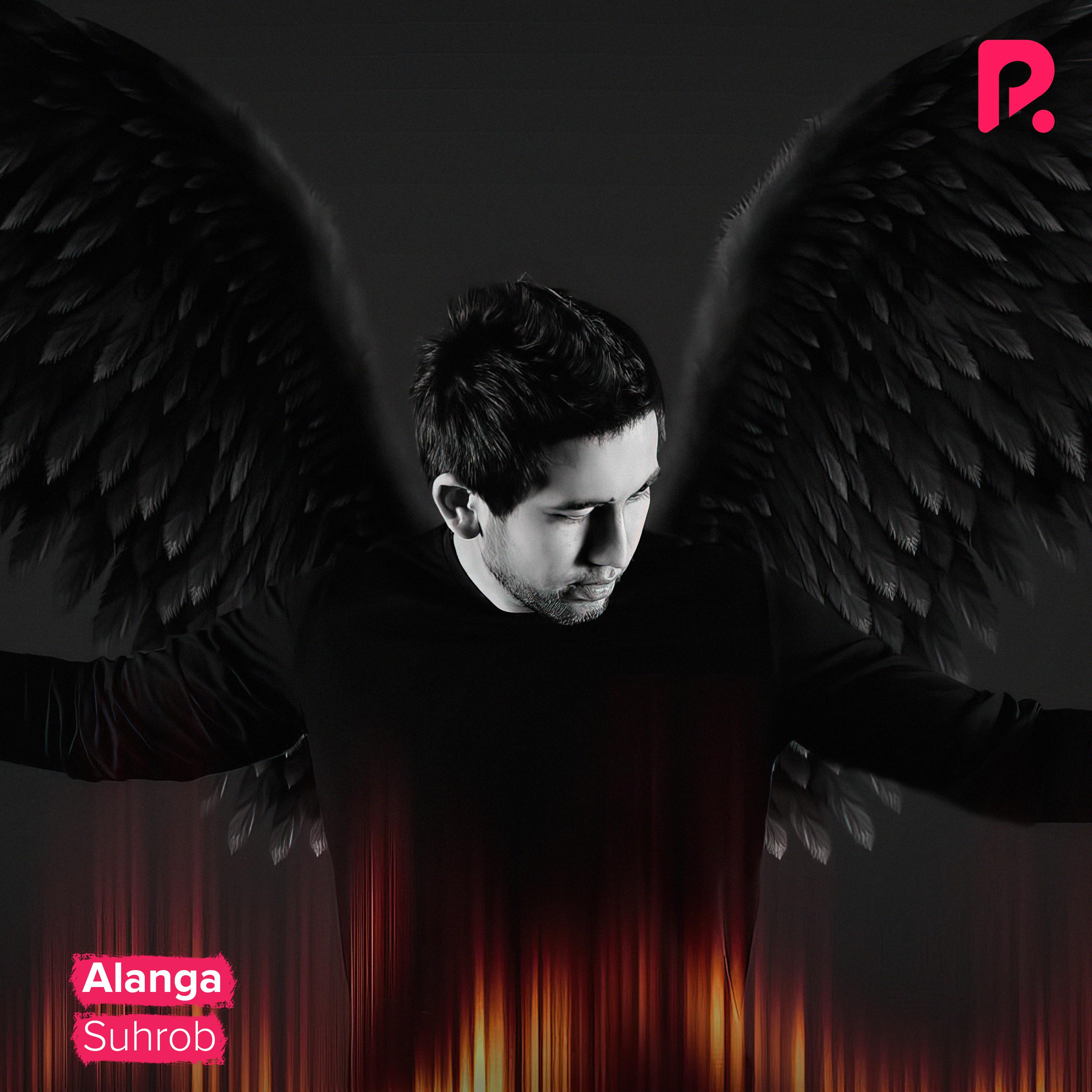 Постер альбома Alanga