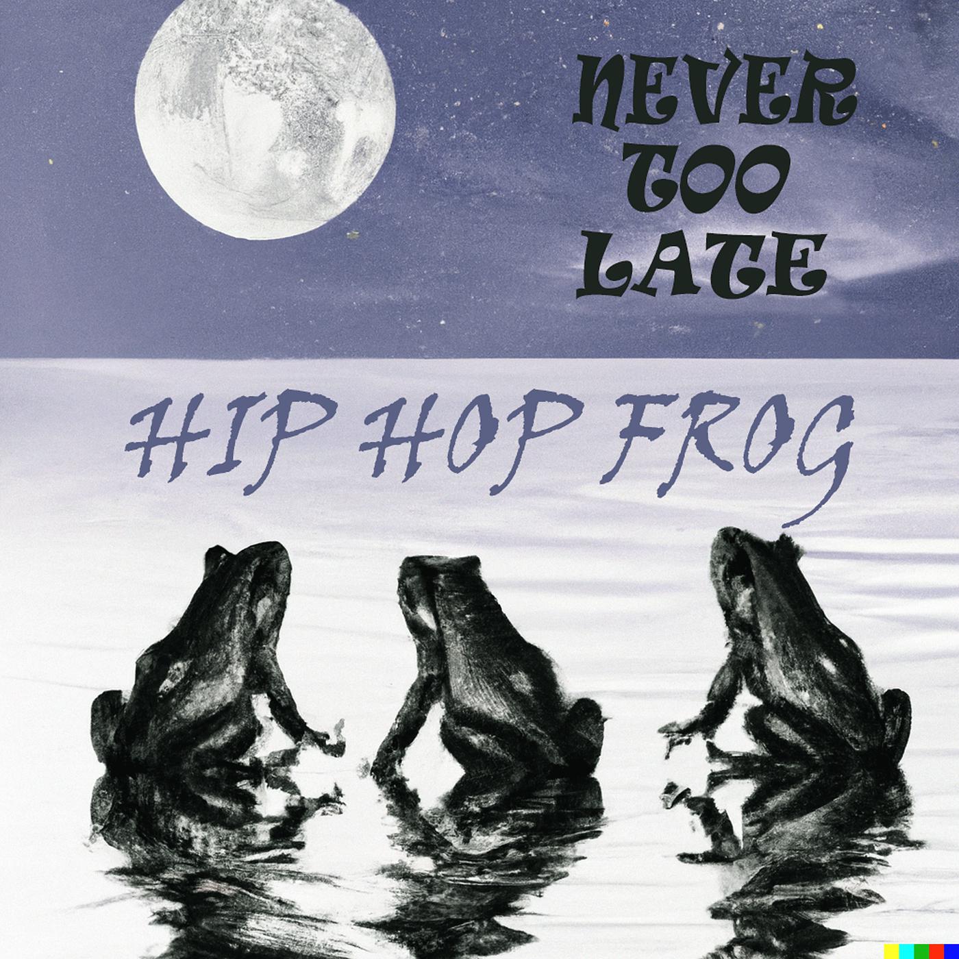 Постер альбома Hip Hop Frog