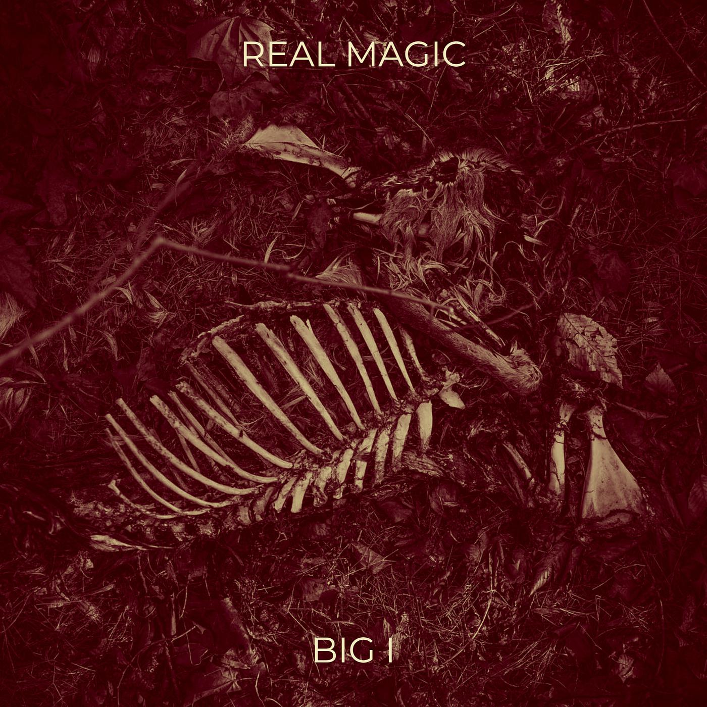 Постер альбома Real Magic