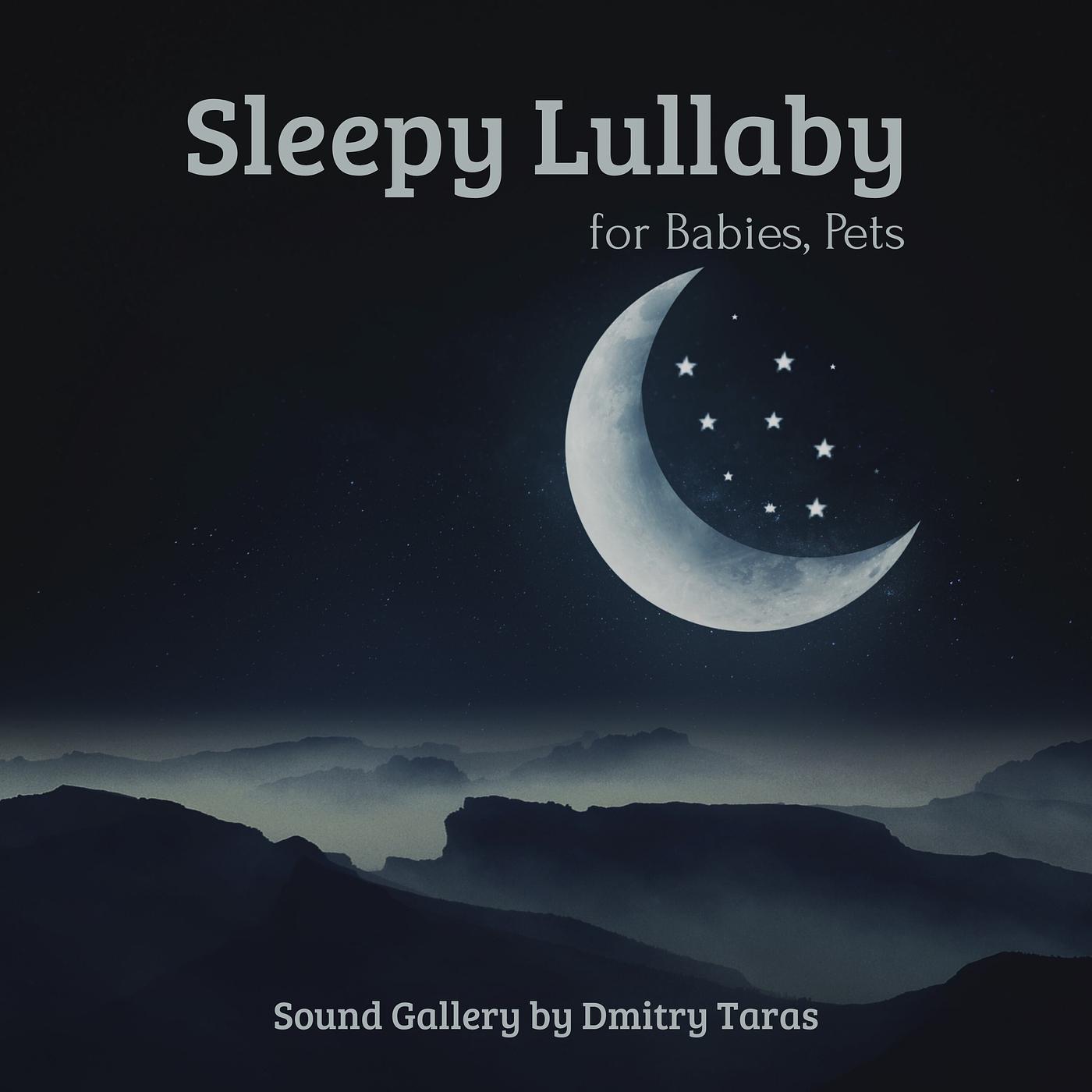 Постер альбома Sleepy Lullaby for Babies, Pets